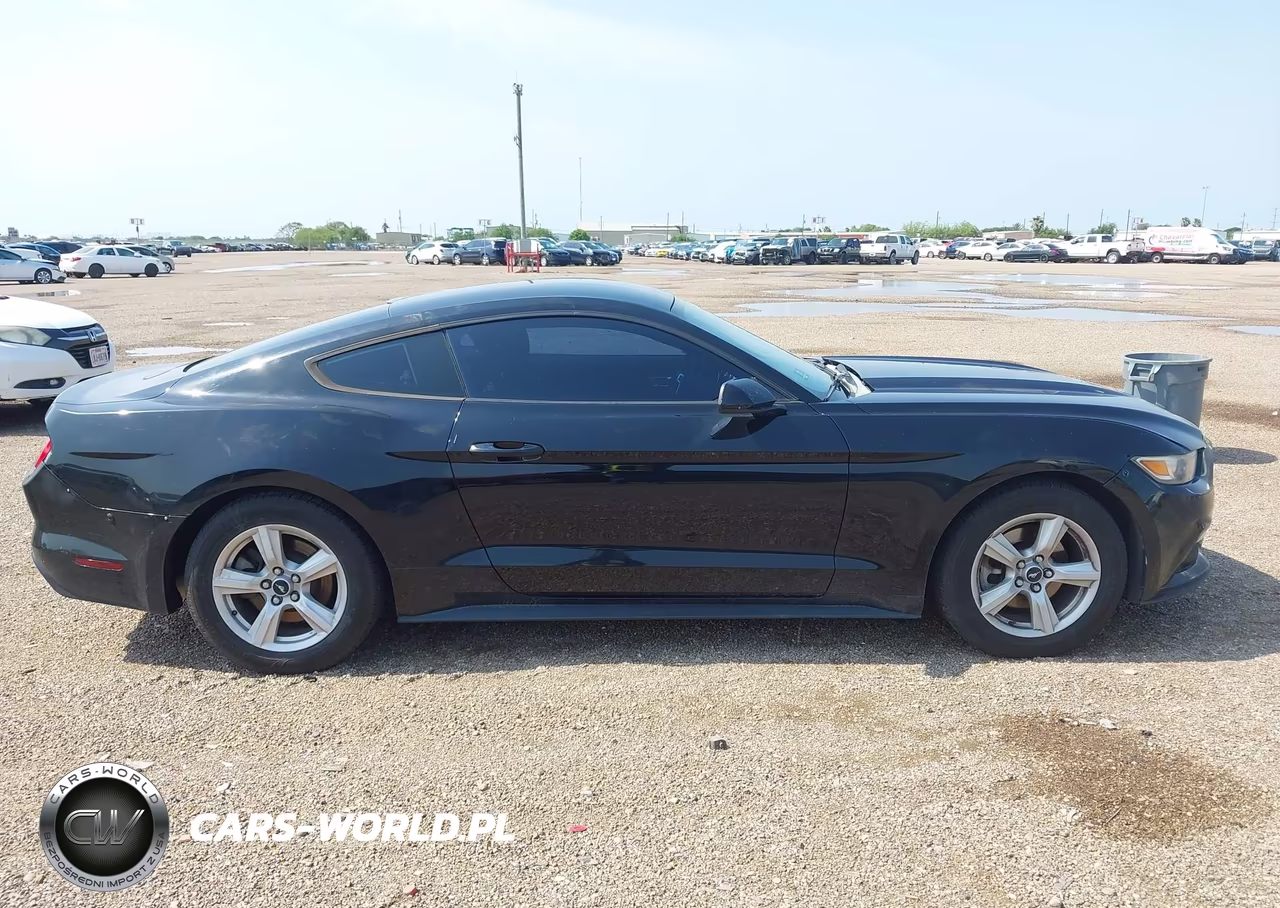 2015 Ford Mustang Ecoboost VIN:1FA6P8TH8F5433119 - 13