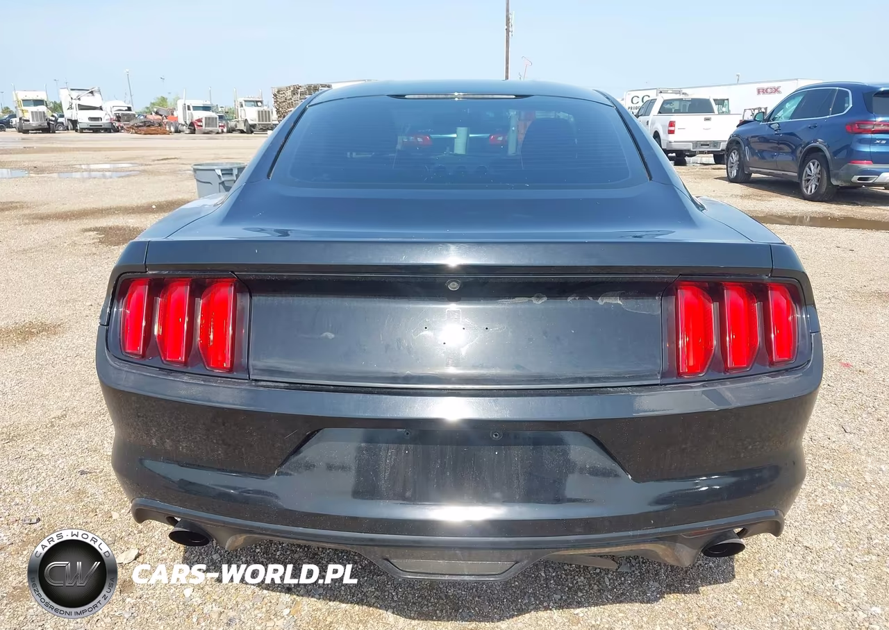 2015 Ford Mustang Ecoboost VIN:1FA6P8TH8F5433119 - 16