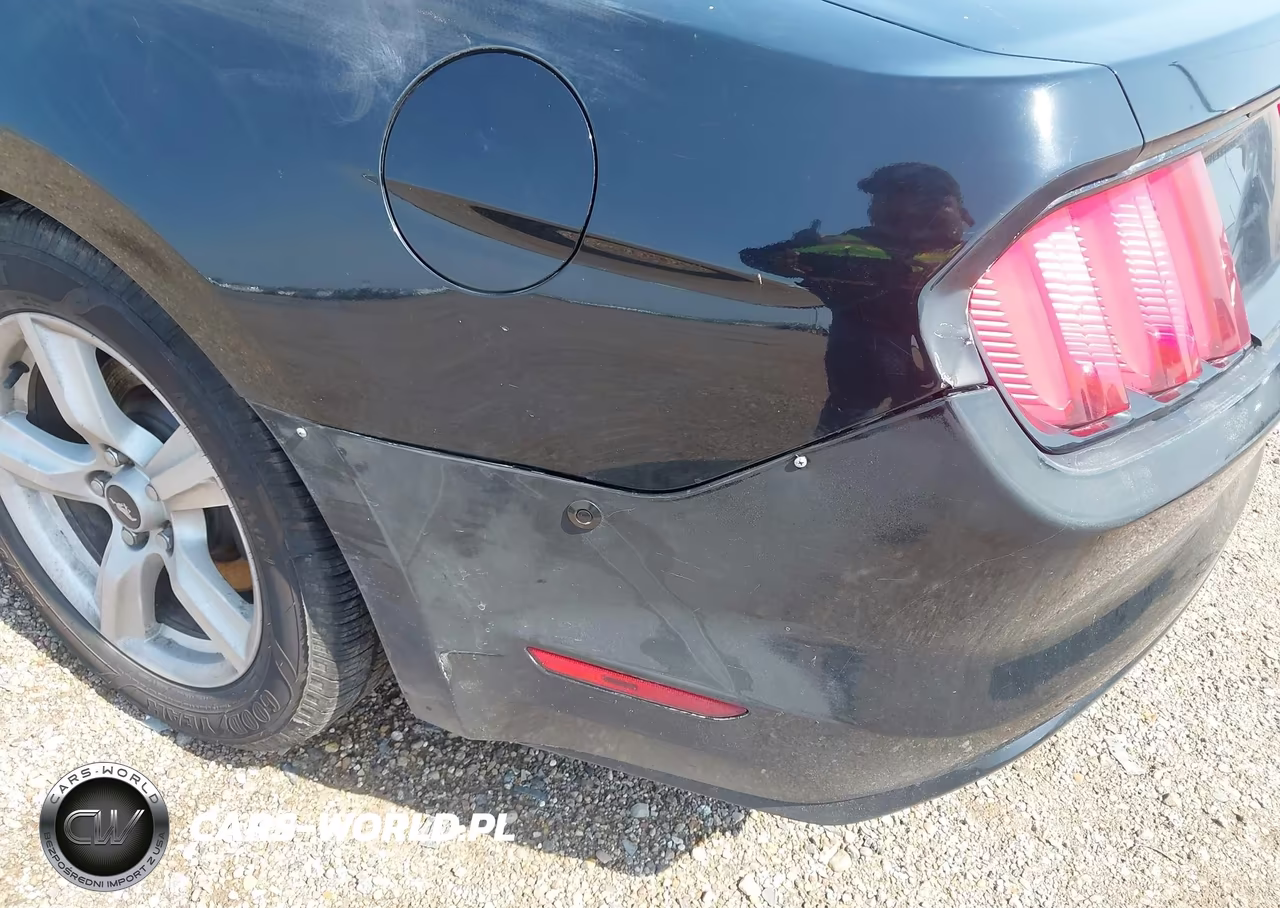 2015 Ford Mustang Ecoboost VIN:1FA6P8TH8F5433119 - 17
