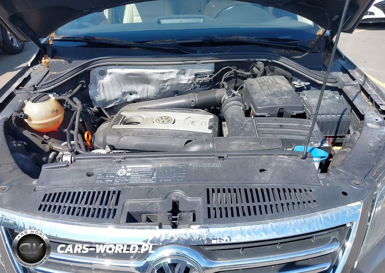 2009 Volkswagen Tiguan Se-Sel VIN:WVGBV95N09W001996 - 10