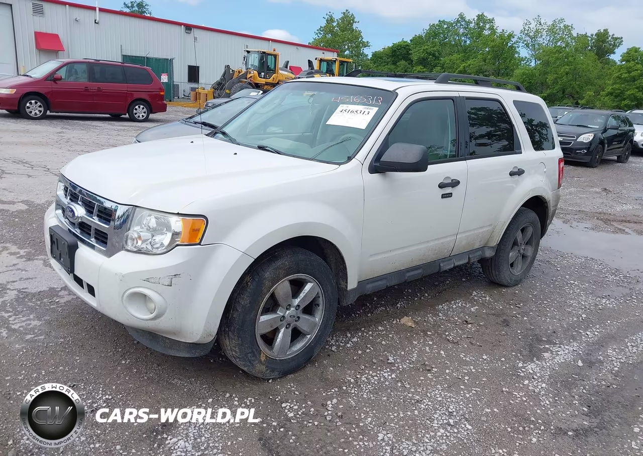 2011 Ford Escape Xlt Automatic VIN:1FMCU0DG8BKA29760 - 2