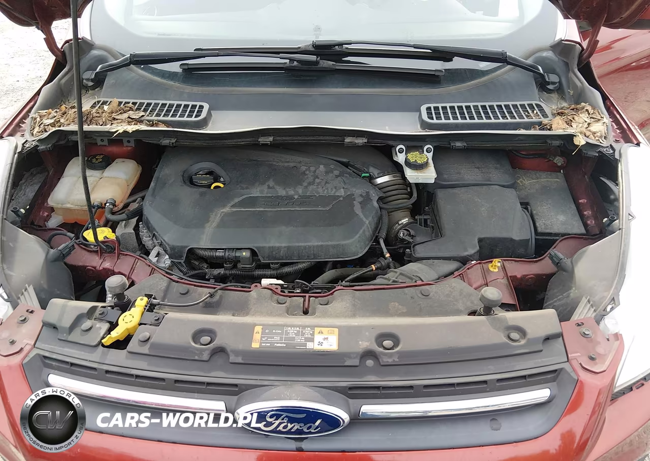 2014 Ford Escape Se VIN:1FMCU0GX6EUD79392 - 10