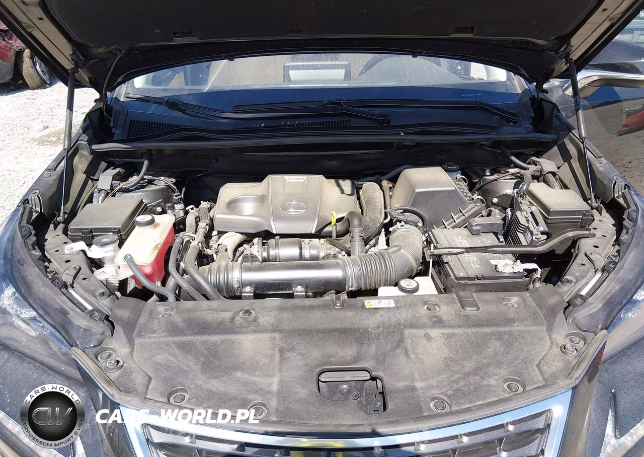 2021 Lexus Nx 300 VIN:JTJDARBZ0M2195569 - 10