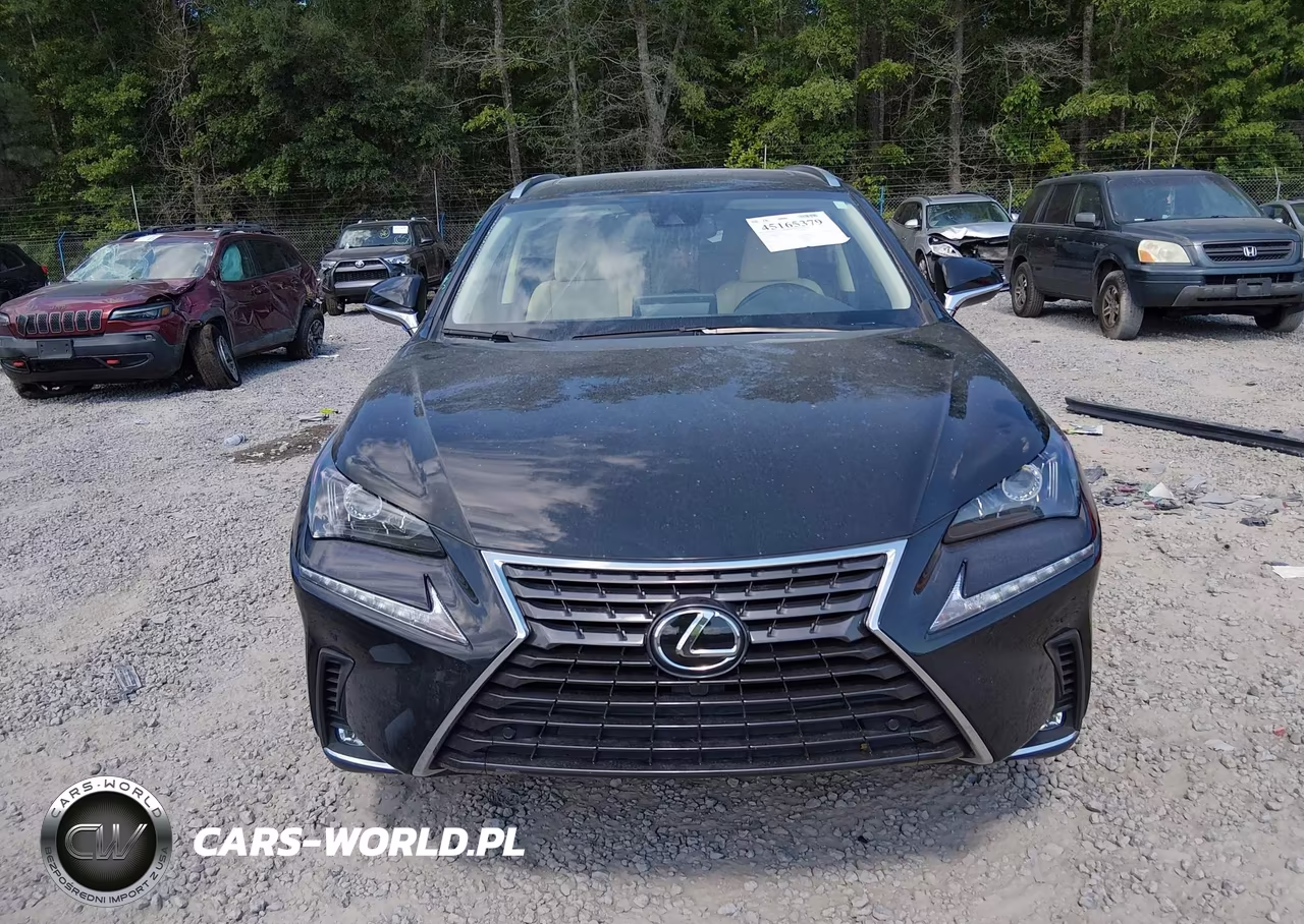 2021 Lexus Nx 300 VIN:JTJDARBZ0M2195569 - 12