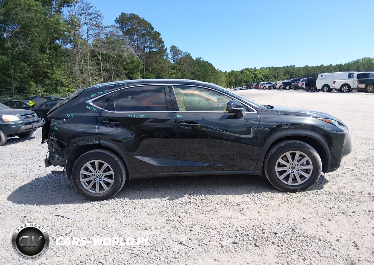 2021 Lexus Nx 300 VIN:JTJDARBZ0M2195569 - 13