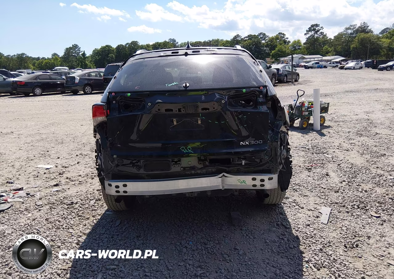 2021 Lexus Nx 300 VIN:JTJDARBZ0M2195569 - 16
