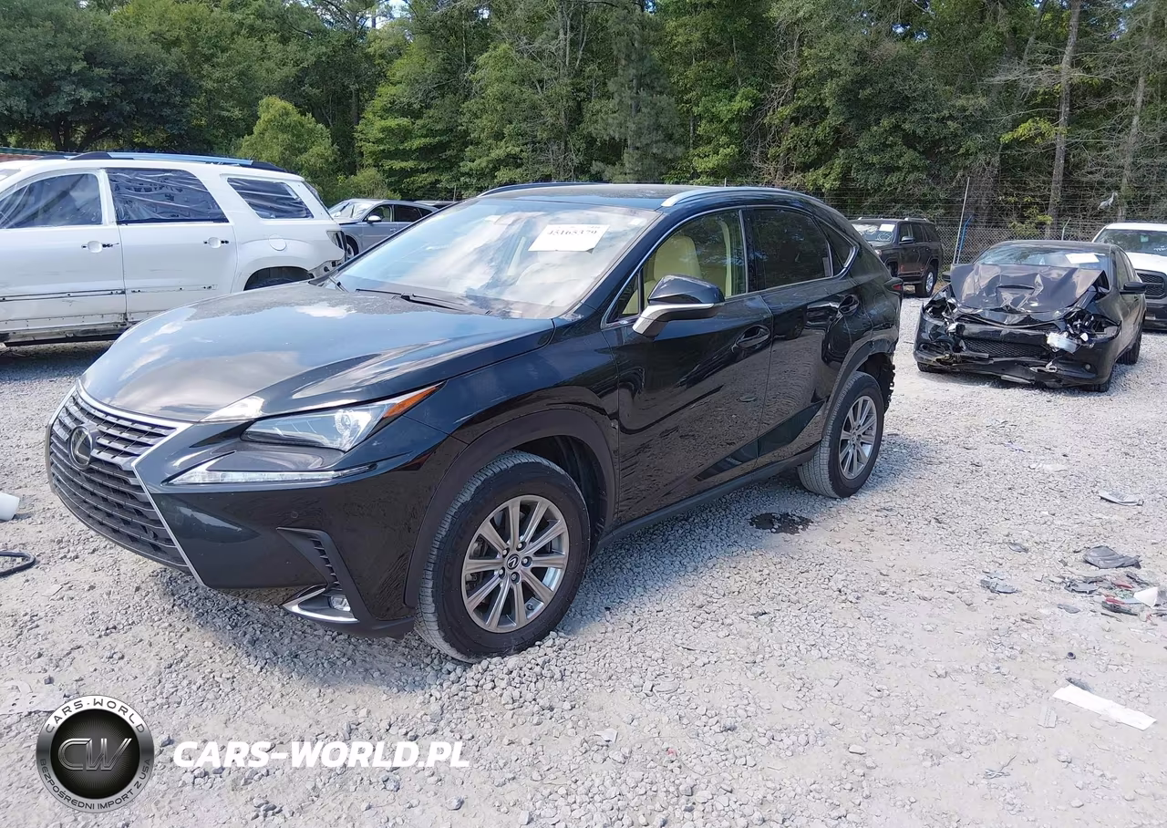 2021 Lexus Nx 300 VIN:JTJDARBZ0M2195569 - 2