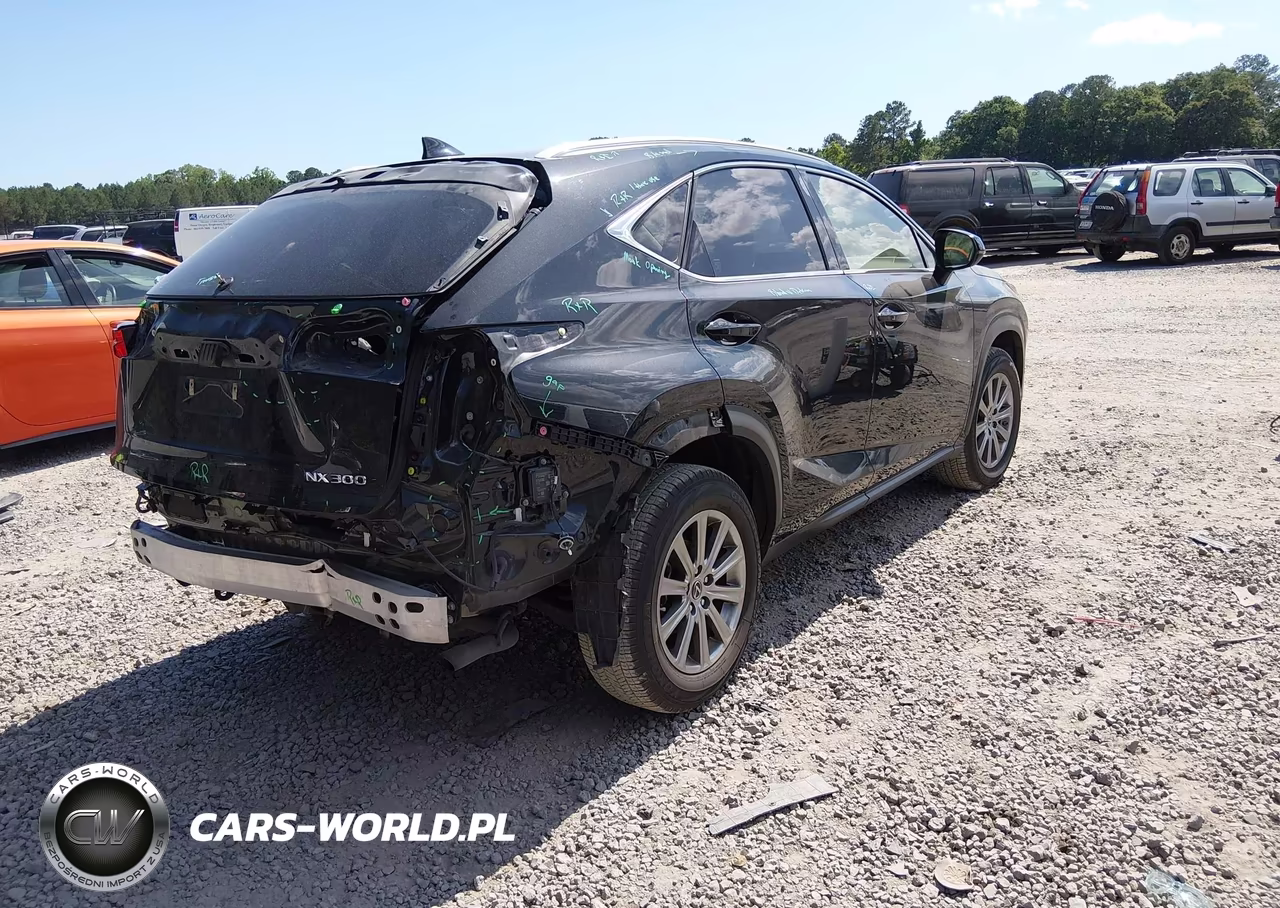 2021 Lexus Nx 300 VIN:JTJDARBZ0M2195569 - 4