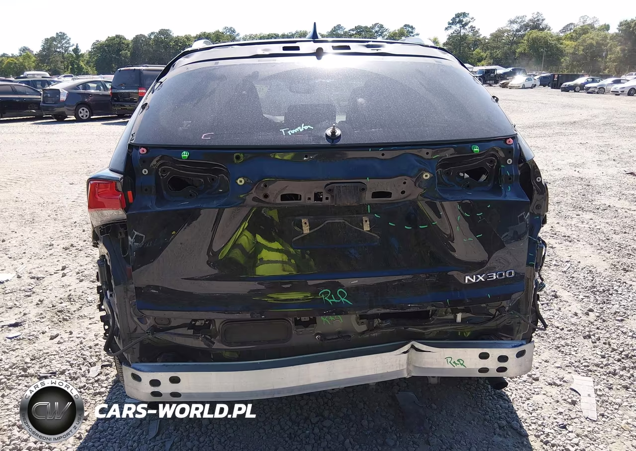 2021 Lexus Nx 300 VIN:JTJDARBZ0M2195569 - 6