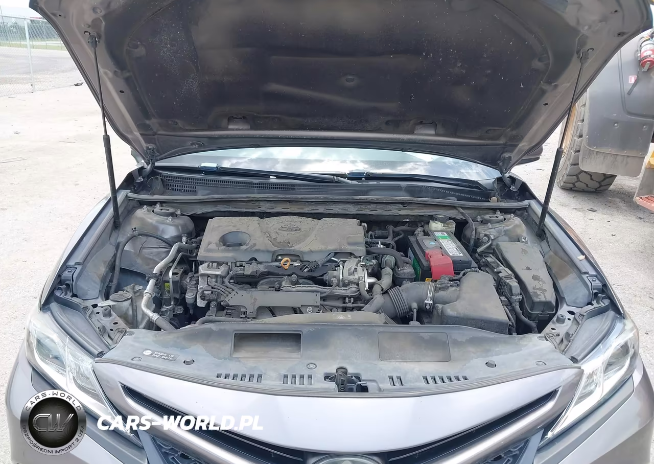 2018 Toyota Camry Se VIN:4T1B11HK7JU571914 - 10