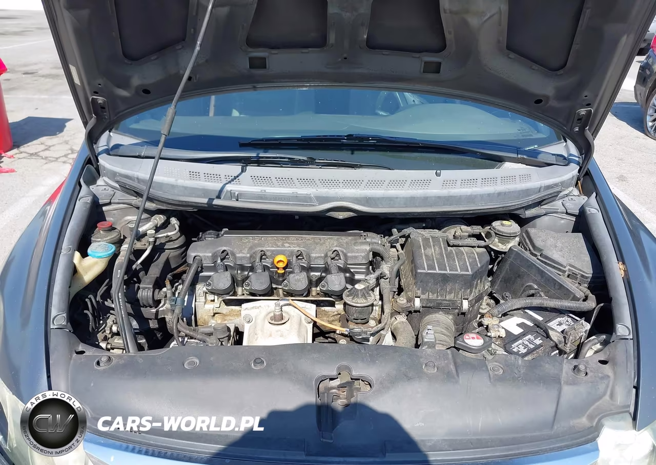 2009 Honda Civic Lx VIN:19XFA16529E046899 - 10