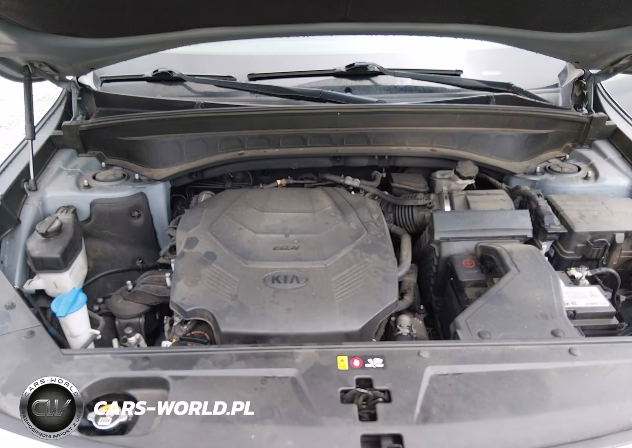 2020 Kia Telluride S VIN:5XYP64HC4LG054421 - 10