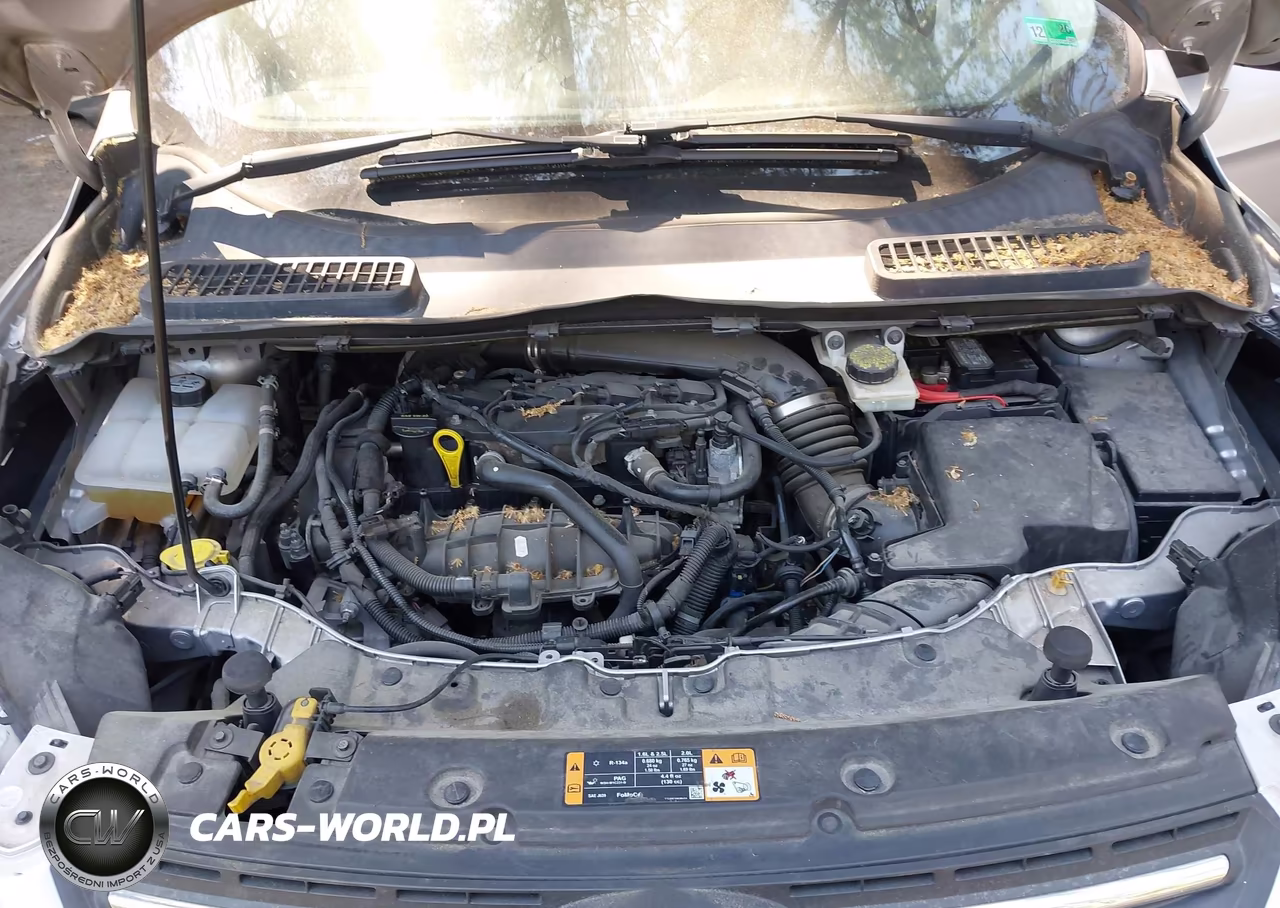 2014 Ford Escape Se VIN:1FMCU9GX8EUB91056 - 10