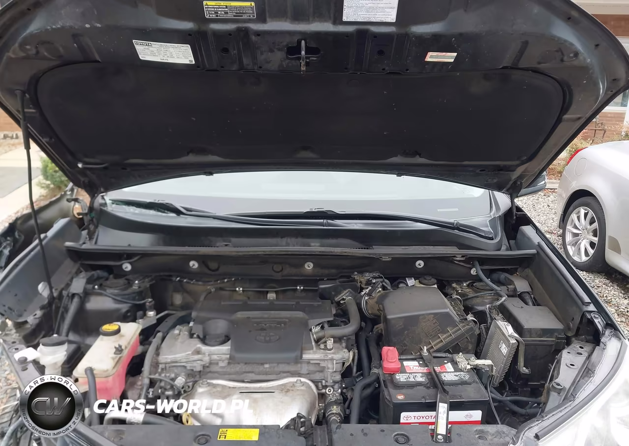 2015 Toyota Rav4 Xle VIN:2T3WFREV2FW183195 - 10