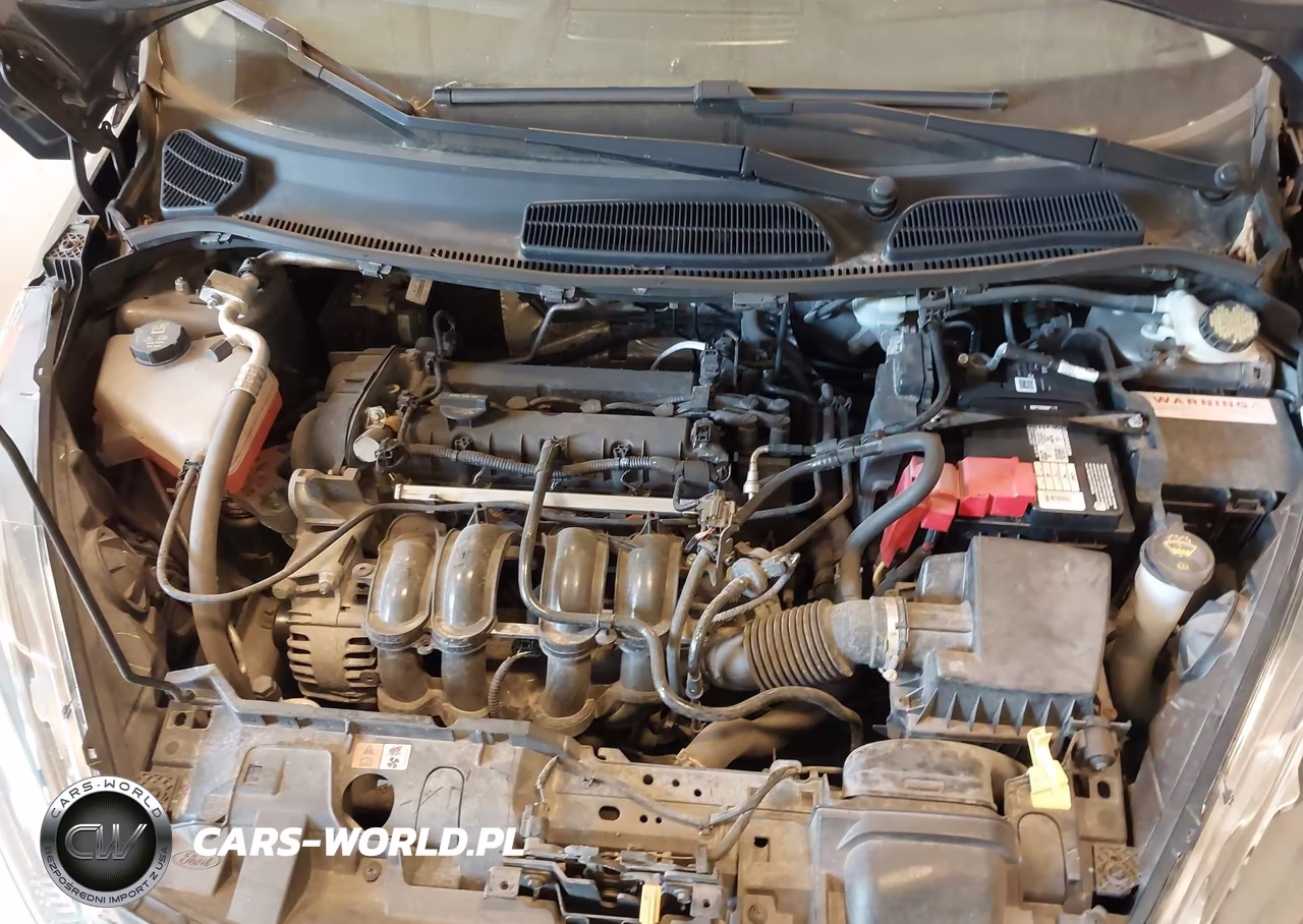 2014 Ford Fiesta Se VIN:3FADP4BJ9EM176677 - 10