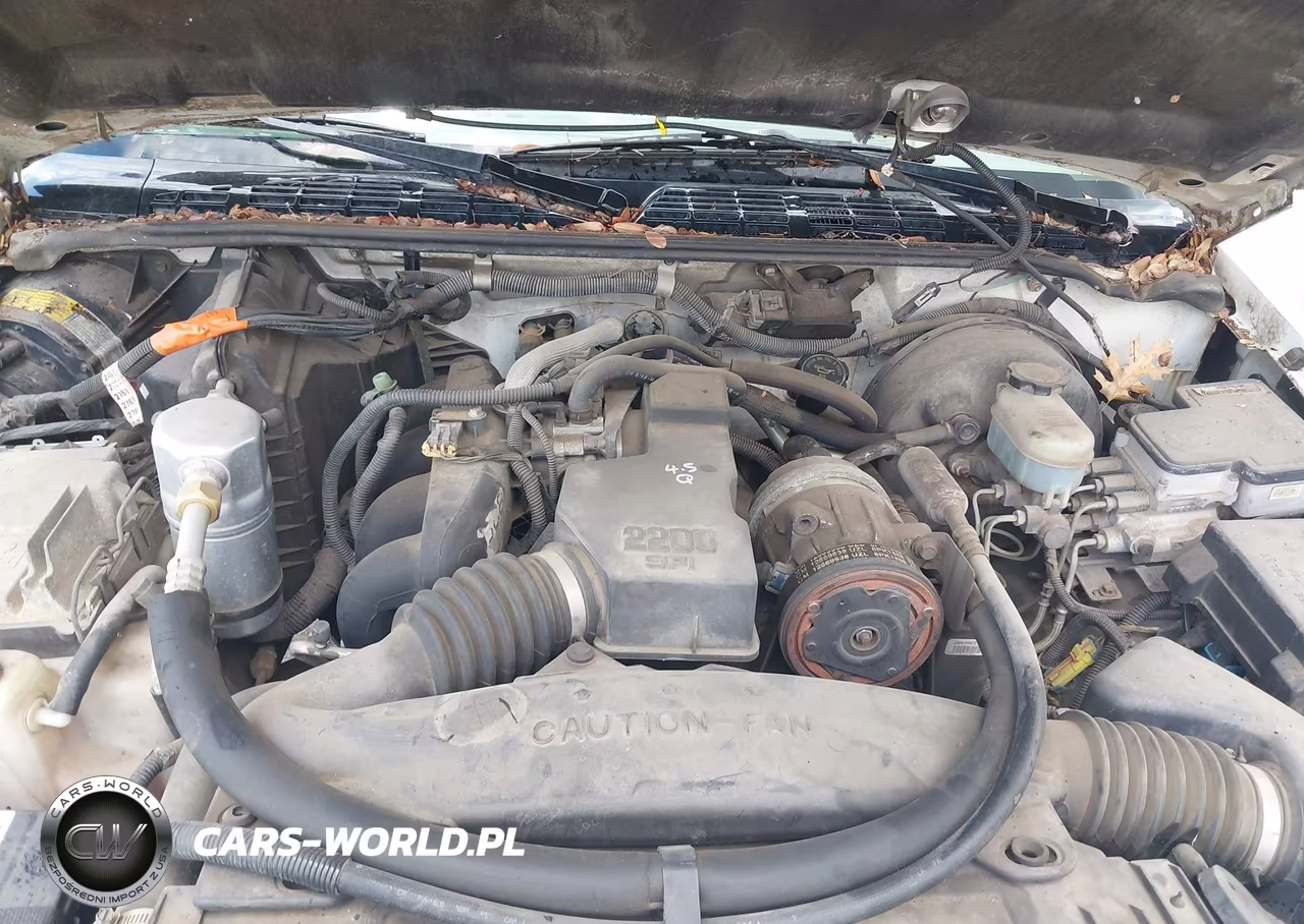 1998 Chevrolet S-10 Ls Fleetside VIN:1GCCS1442W8195636 - 10