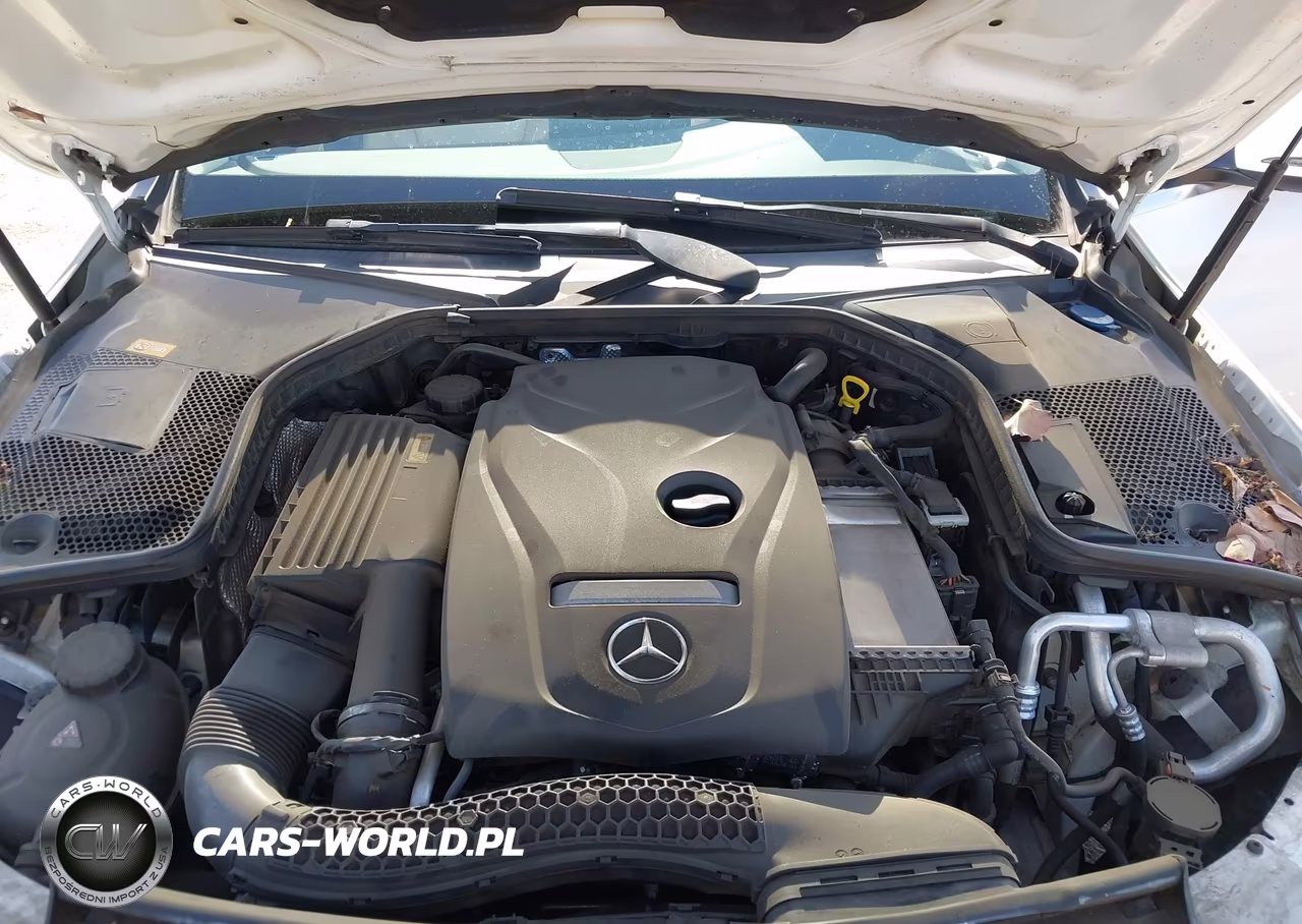 2016 Mercedes-Benz C 300 VIN:55SWF4JB3GU158861 - 10