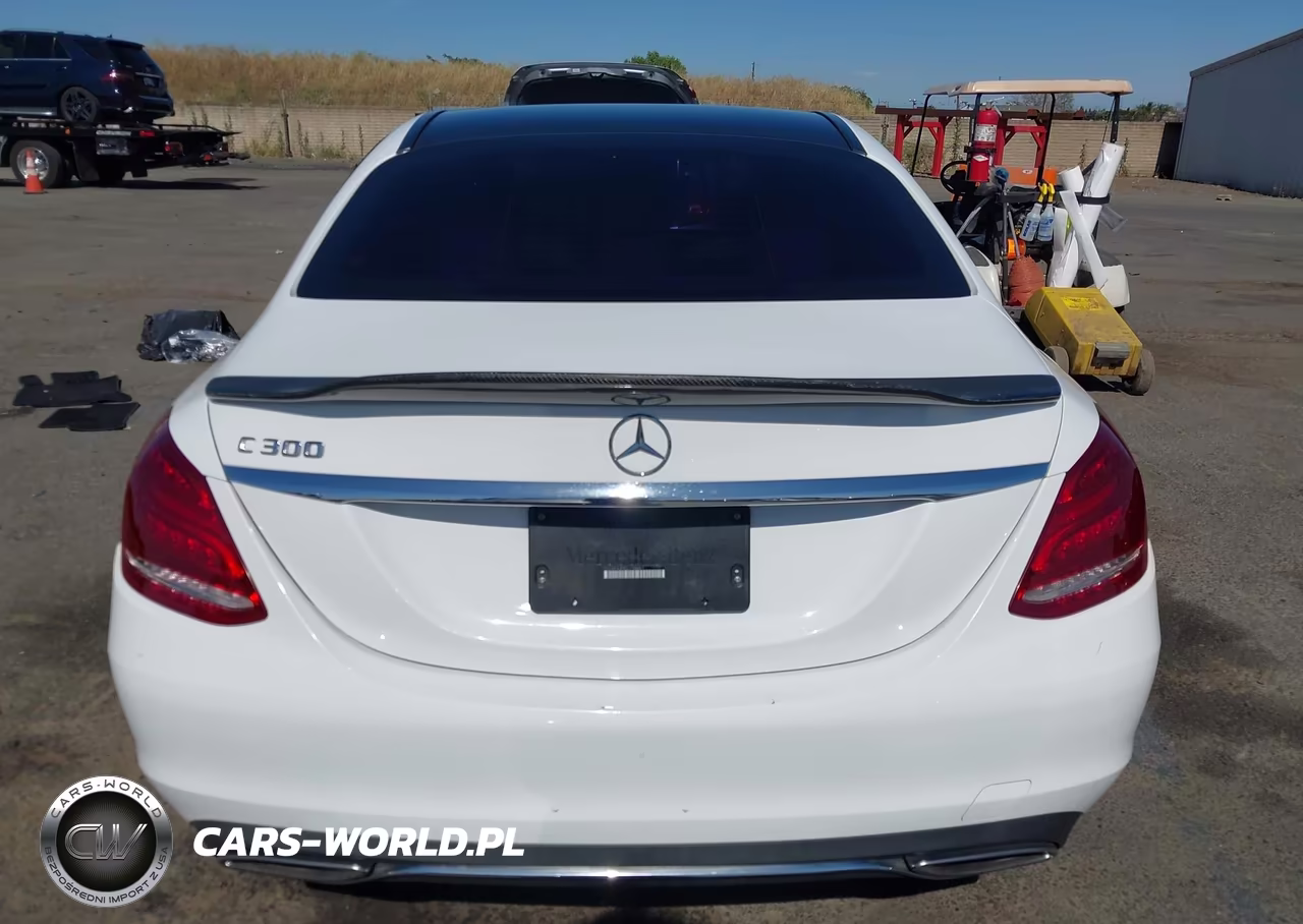 2016 Mercedes-Benz C 300 VIN:55SWF4JB3GU158861 - 16