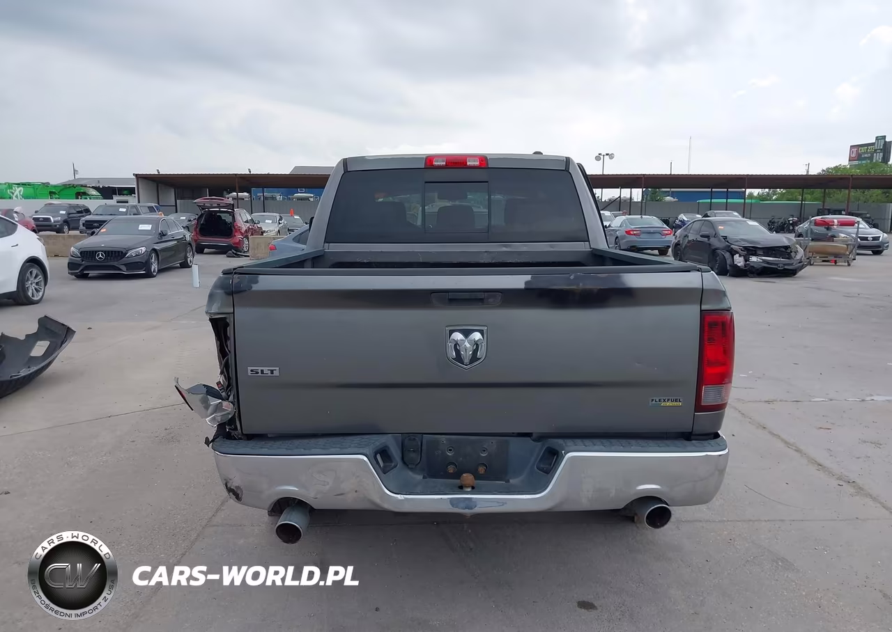 2009 Dodge Ram 1500 Slt-Sport-Trx VIN:1D3HB13TX9S701016 - 17