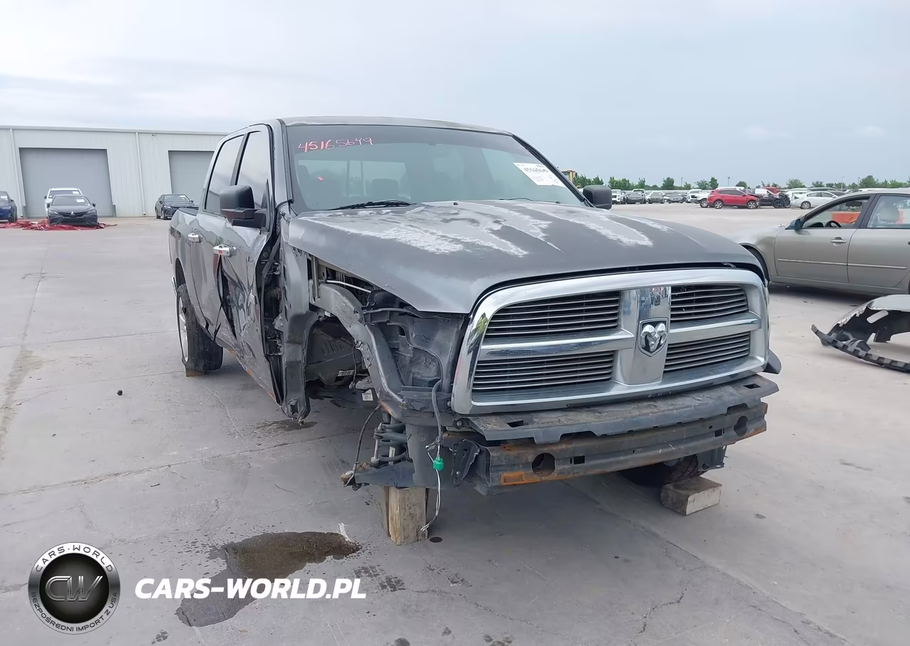 2009 Dodge Ram 1500 Slt-Sport-Trx VIN:1D3HB13TX9S701016 - 20