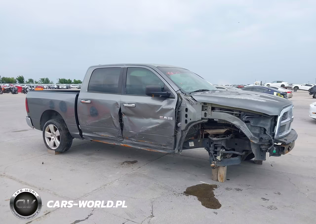 2009 Dodge Ram 1500 Slt-Sport-Trx VIN:1D3HB13TX9S701016 - 6