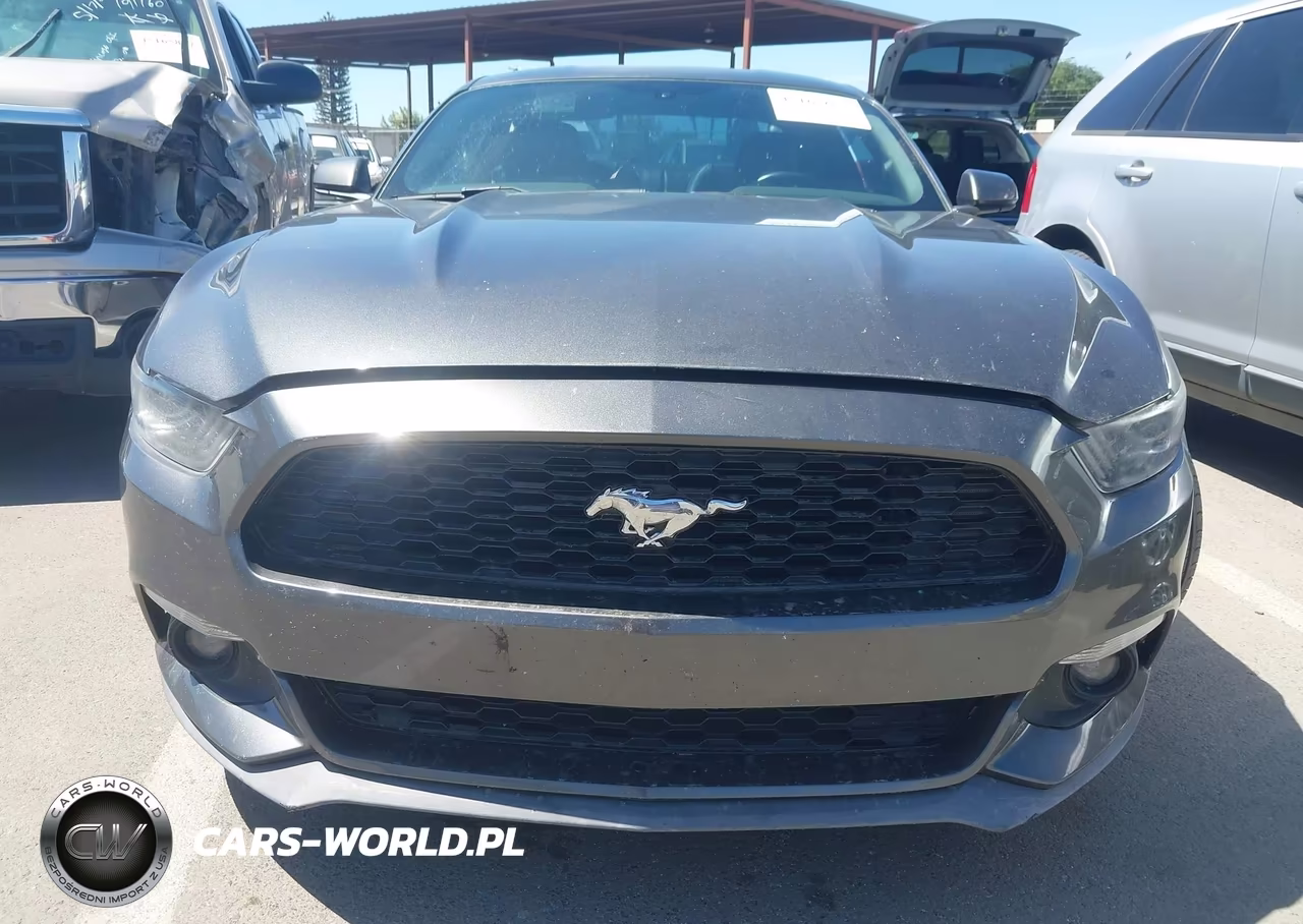 2017 Ford Mustang Ecoboost VIN:1FA6P8TH4H5302692 - 12