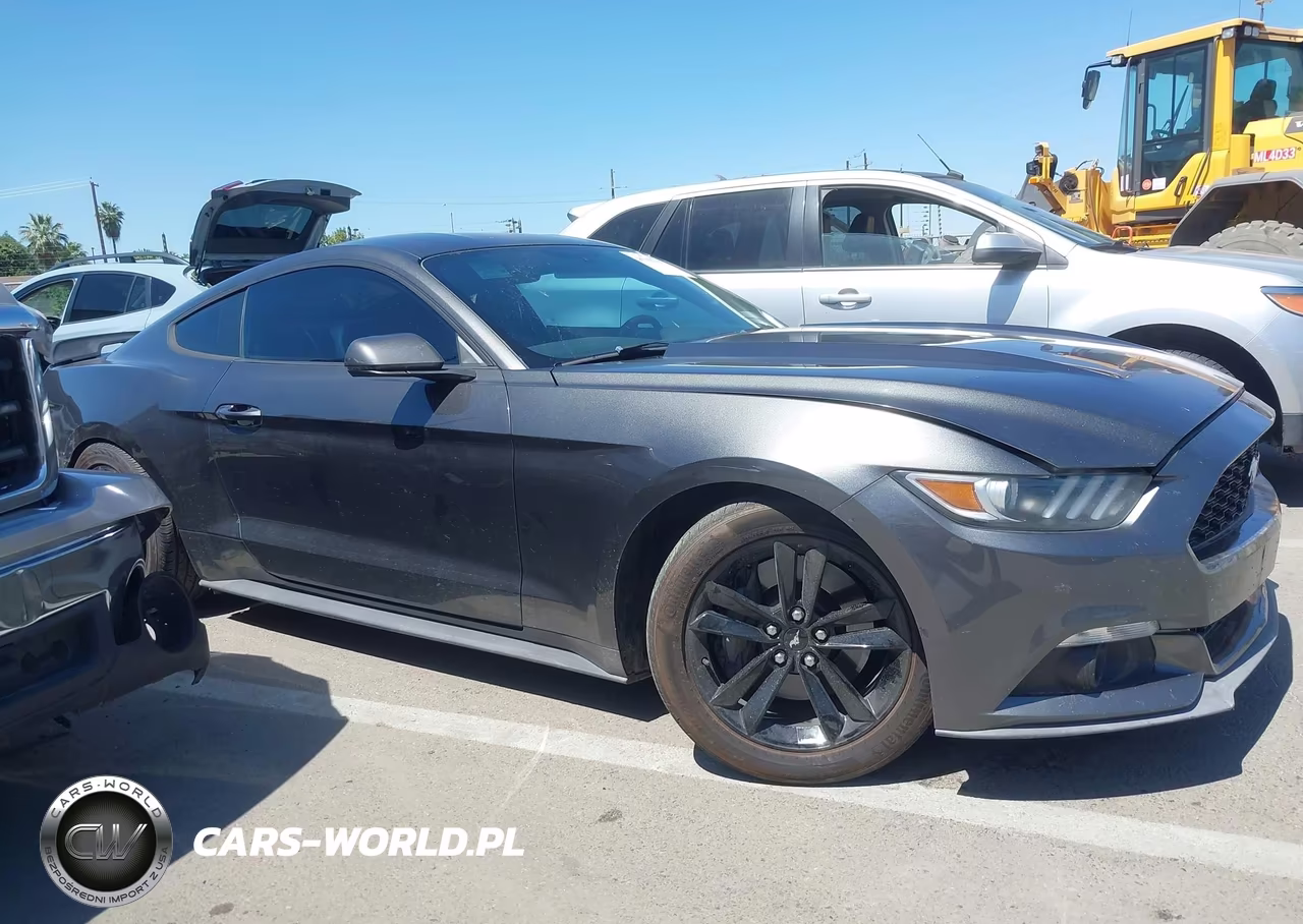 2017 Ford Mustang Ecoboost VIN:1FA6P8TH4H5302692 - 13