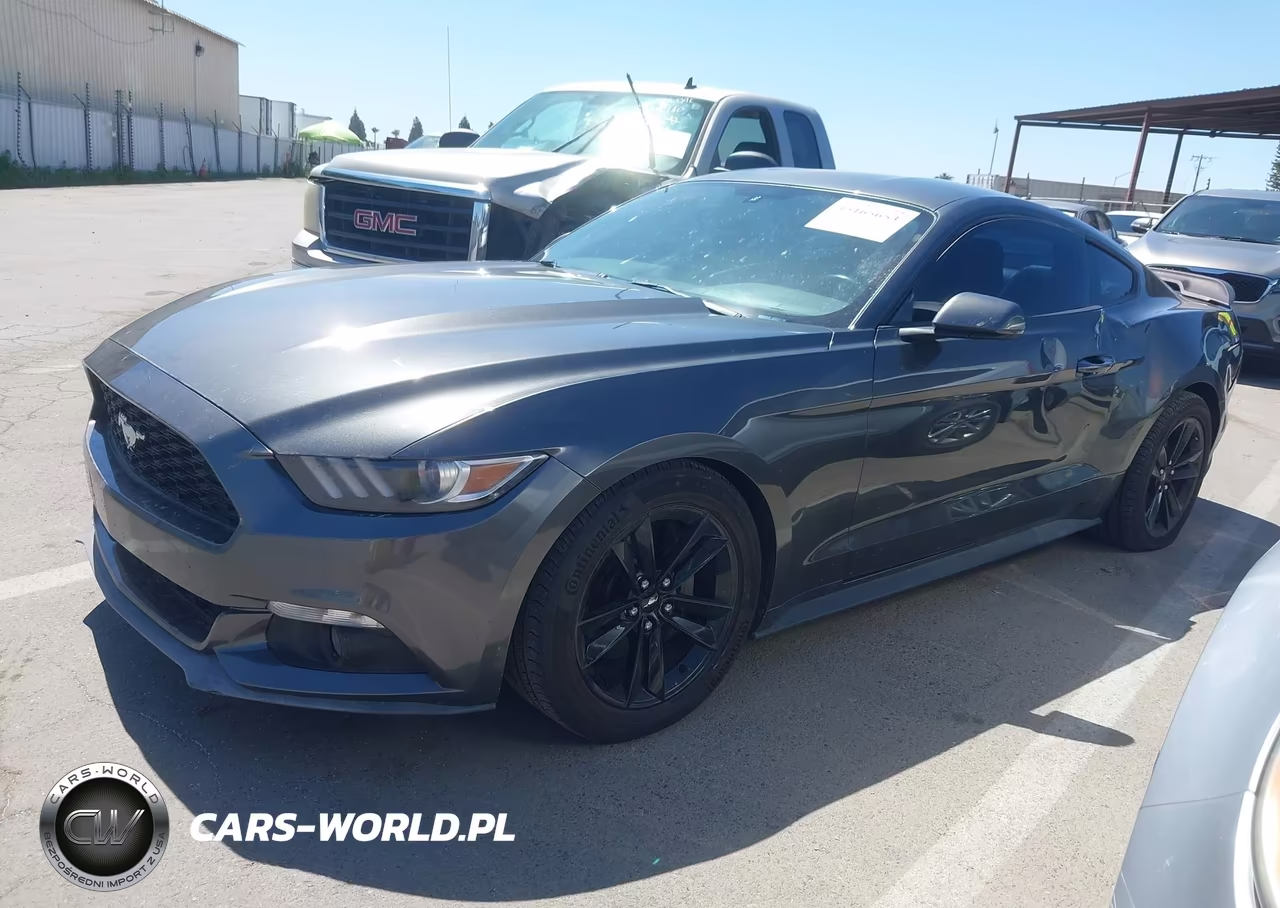 2017 Ford Mustang Ecoboost VIN:1FA6P8TH4H5302692 - 14
