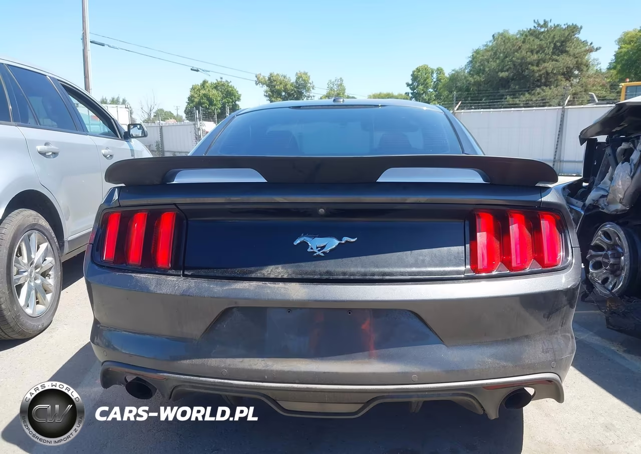2017 Ford Mustang Ecoboost VIN:1FA6P8TH4H5302692 - 16