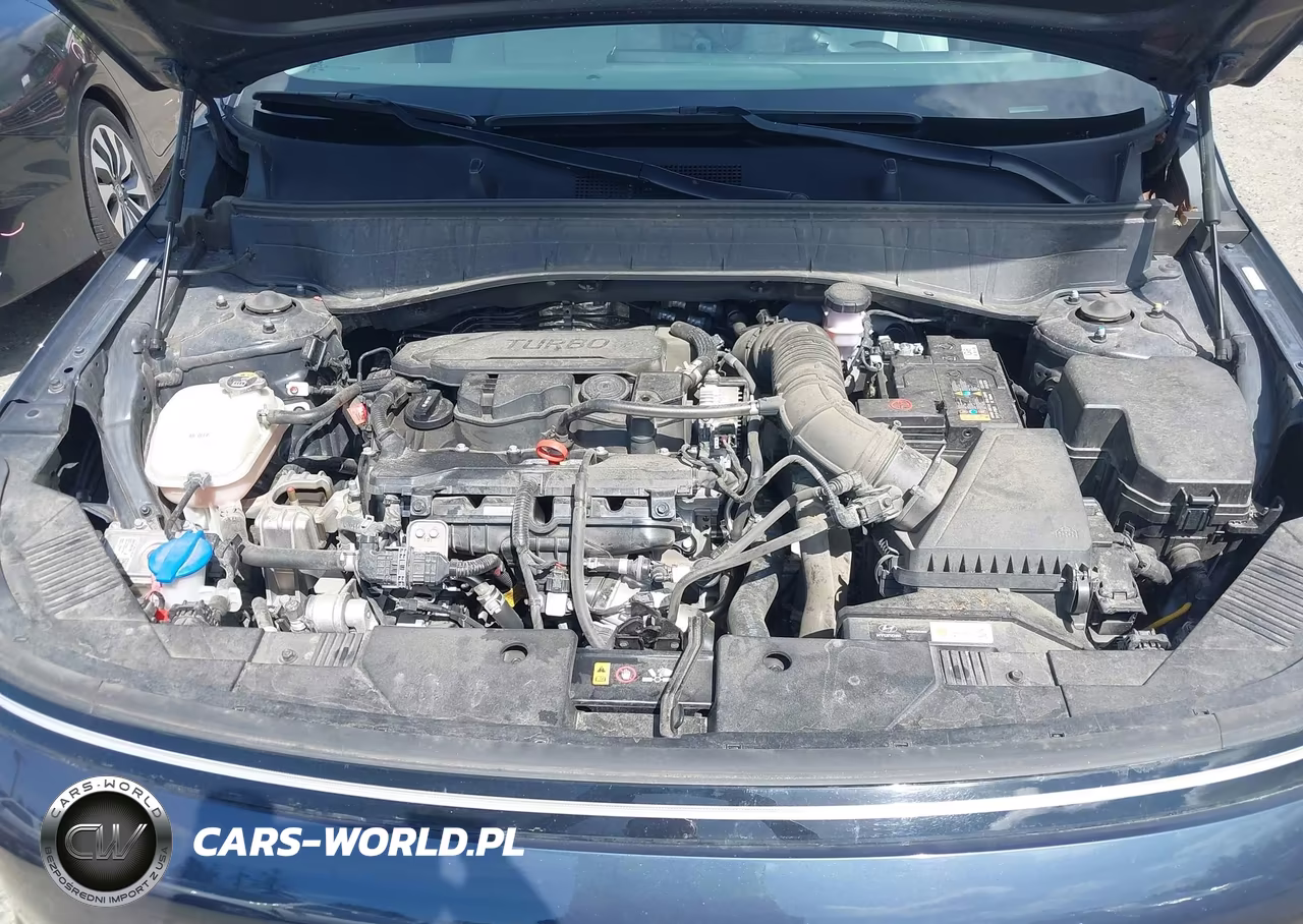 2024 Hyundai Kona Limited VIN:KM8HE3A37RU174468 - 10
