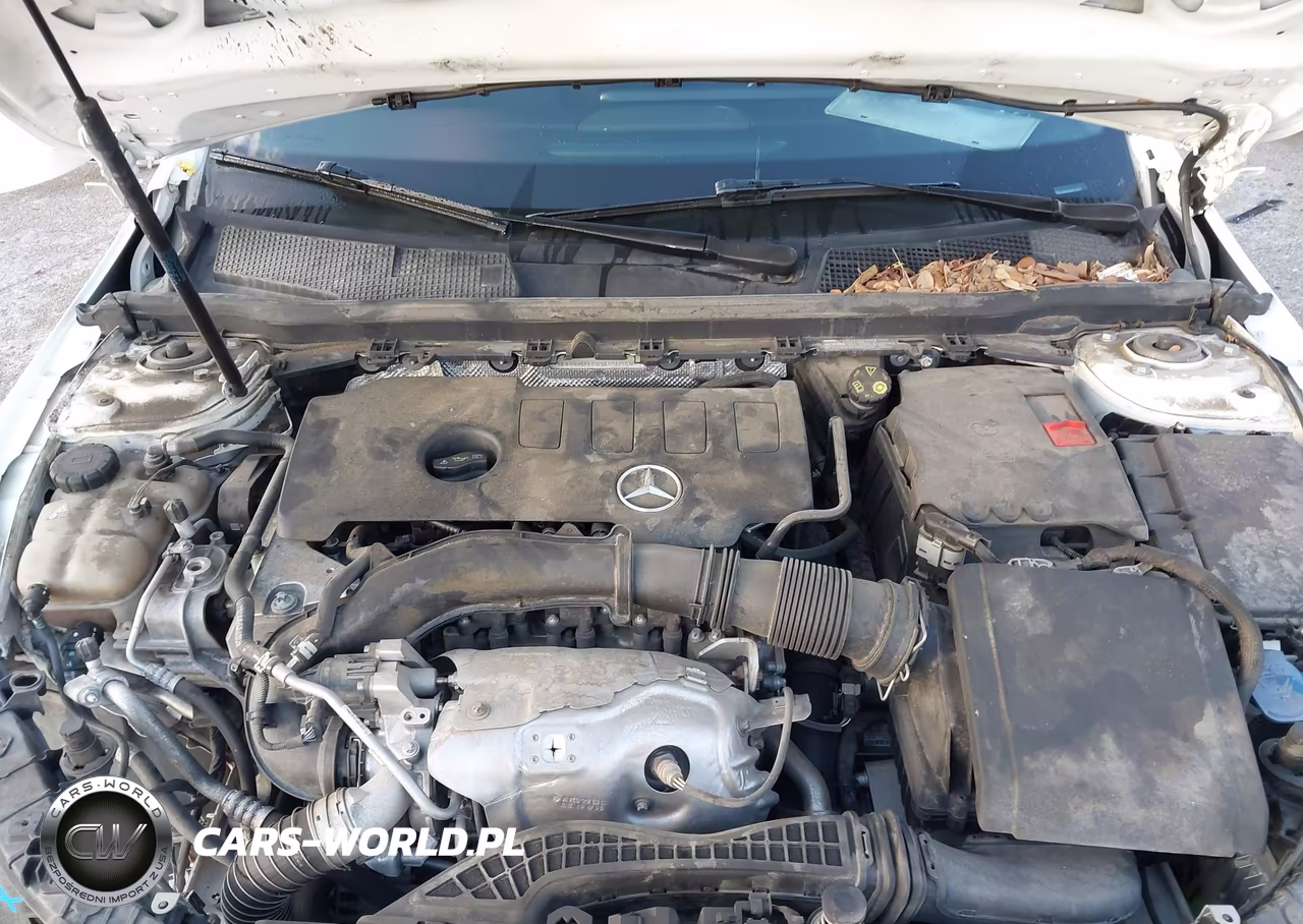 2019 Mercedes-Benz A 220 4Matic VIN:WDD3G4FB8KW021788 - 10