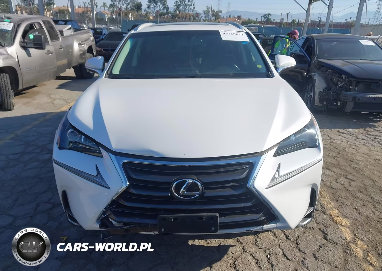 2016 Lexus Nx 200T VIN:JTJYARBZ2G2046277 - 12