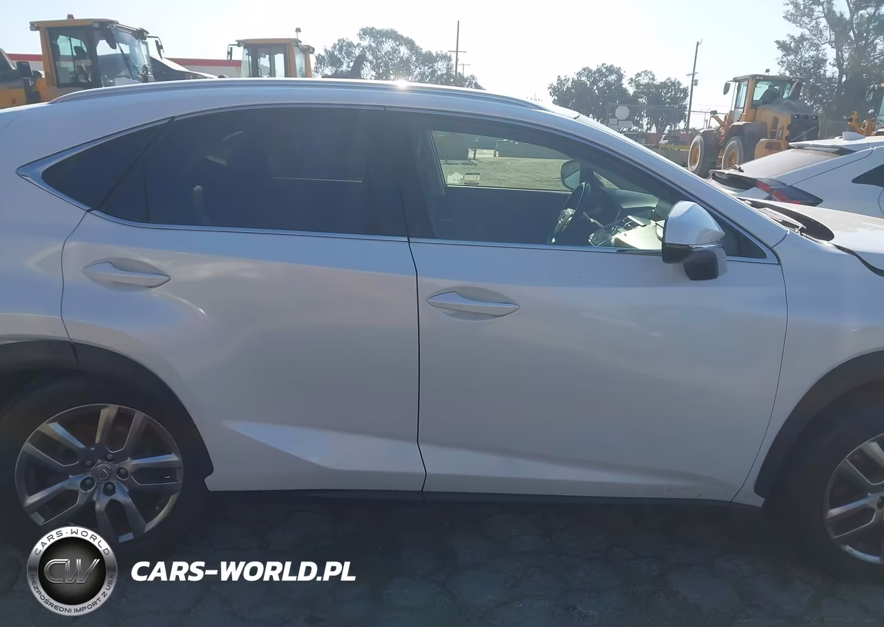 2016 Lexus Nx 200T VIN:JTJYARBZ2G2046277 - 13