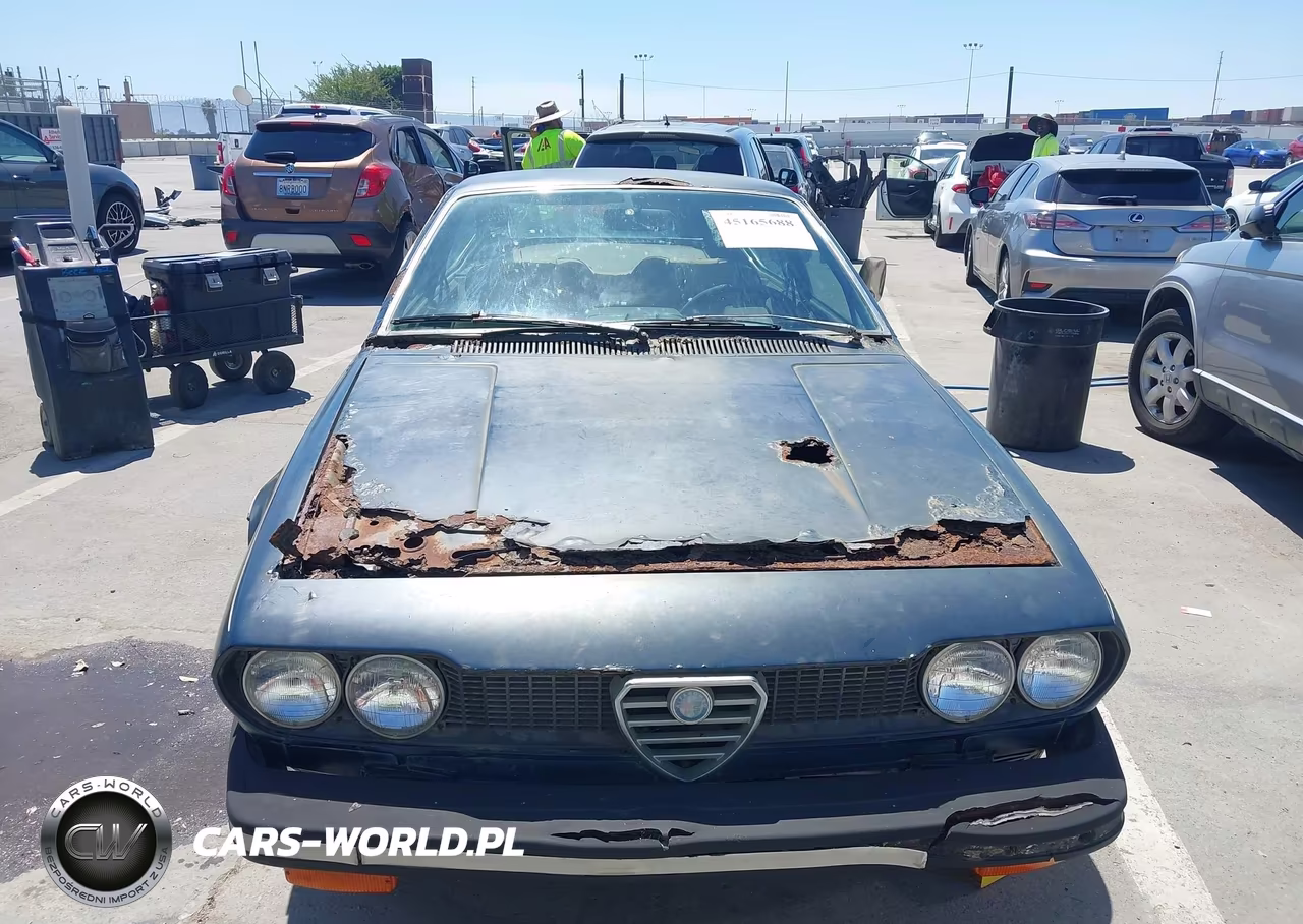 1975 Alfa Romeo Alsetta VIN:AR116290001589 - 12