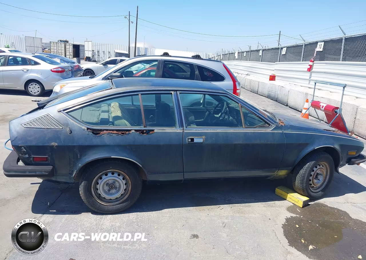 1975 Alfa Romeo Alsetta VIN:AR116290001589 - 13