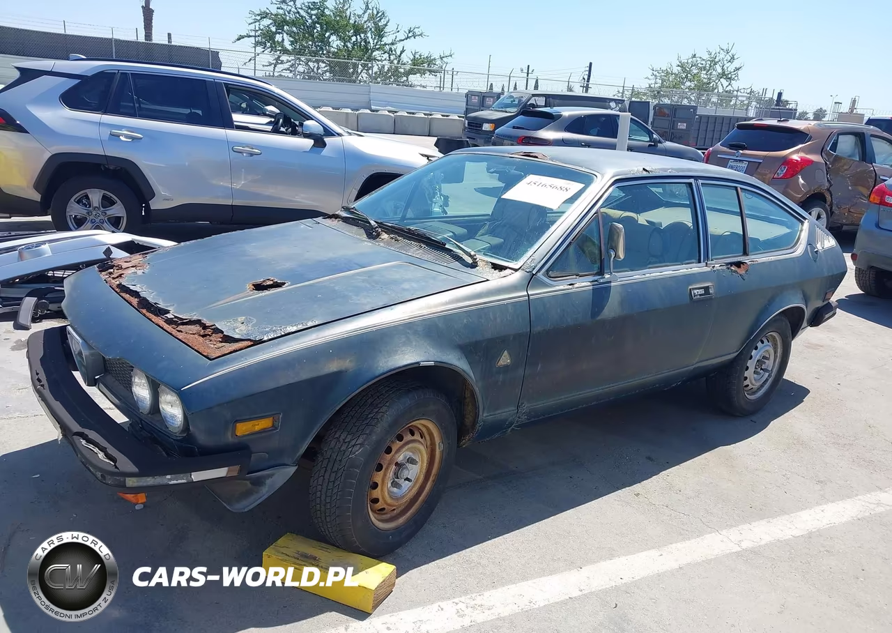 1975 Alfa Romeo Alsetta VIN:AR116290001589 - 14