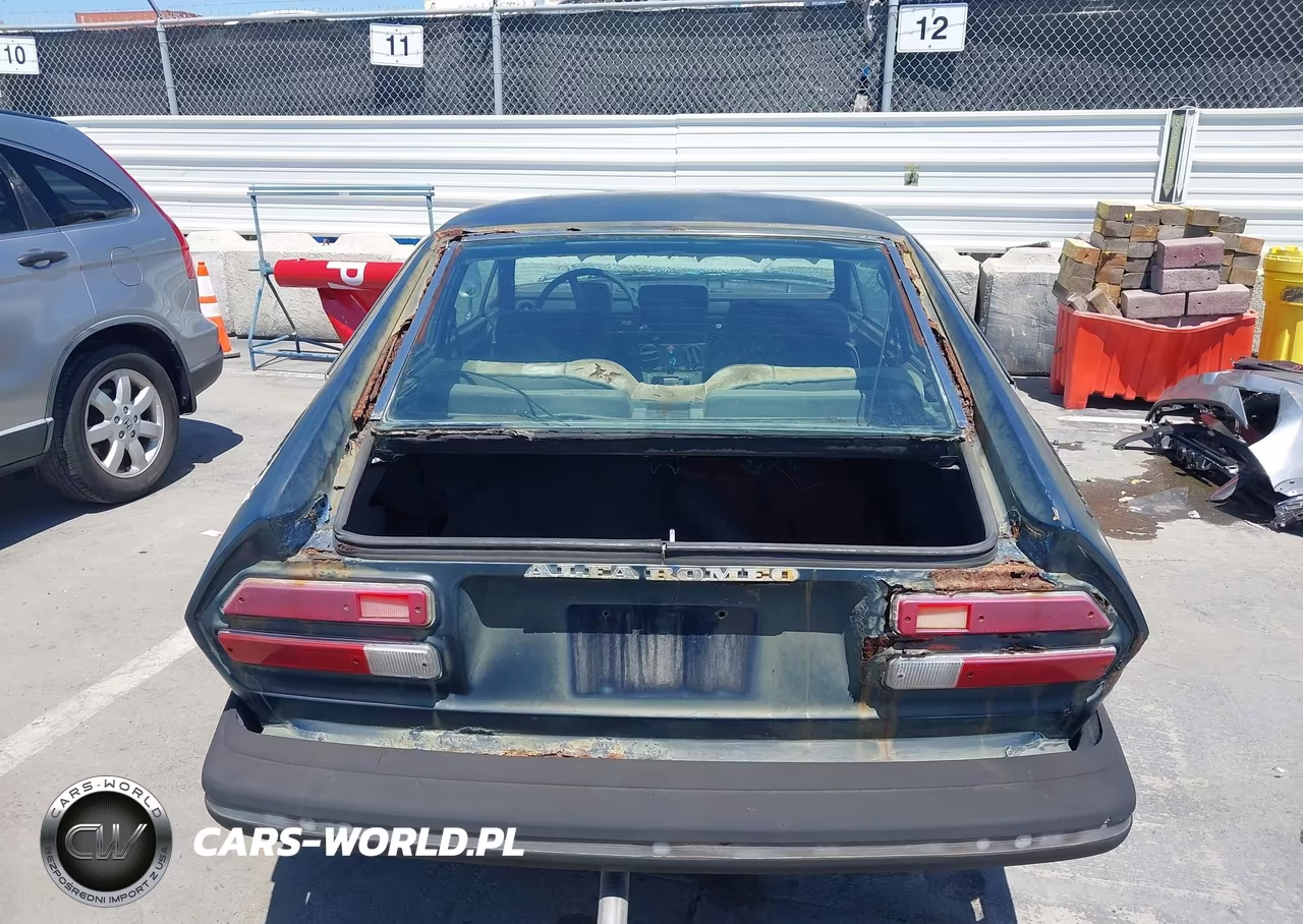 1975 Alfa Romeo Alsetta VIN:AR116290001589 - 16
