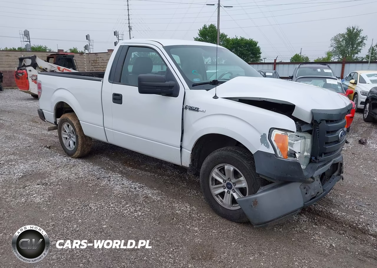2010 Ford F-150 Stx-Xl-Xlt – zdjęcie 1 z 16