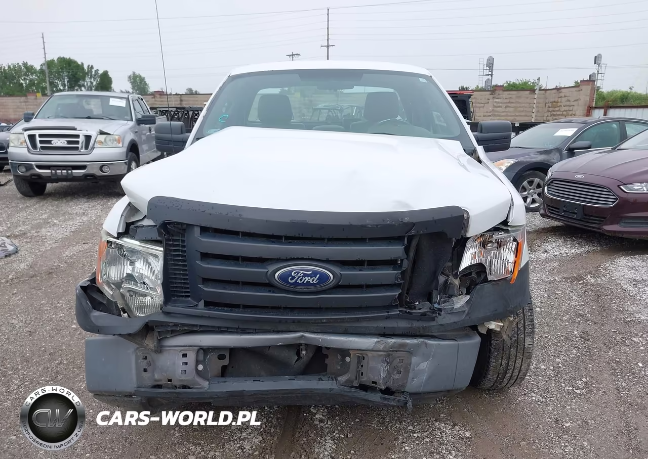2010 Ford F-150 Stx-Xl-Xlt VIN:1FTMF1CW6AKE21944 - 12