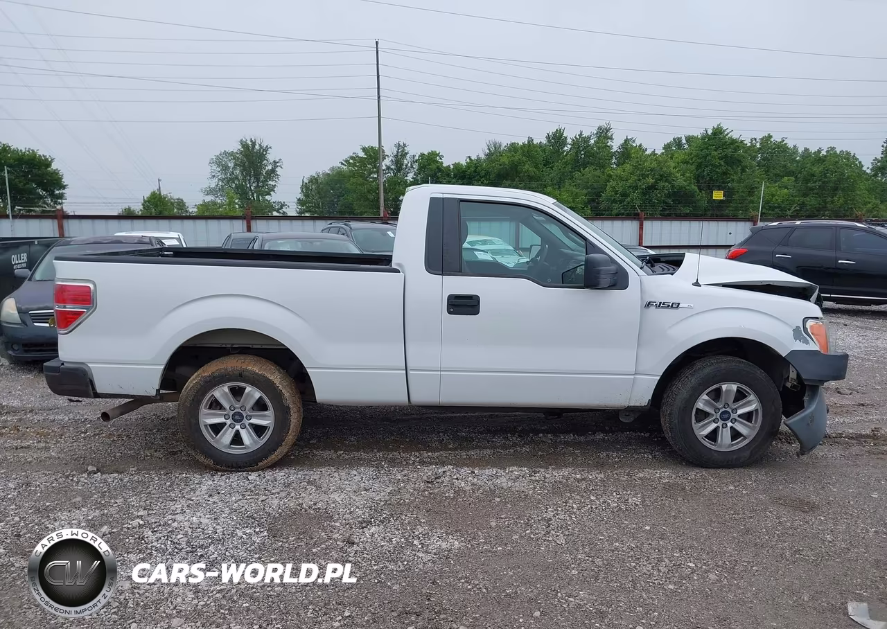 2010 Ford F-150 Stx-Xl-Xlt VIN:1FTMF1CW6AKE21944 - 13