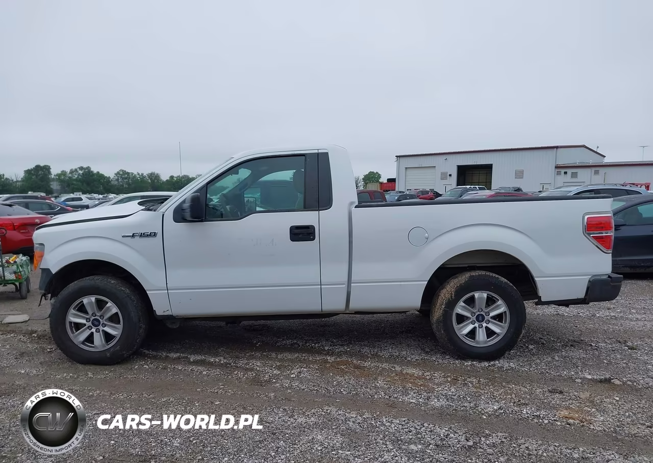2010 Ford F-150 Stx-Xl-Xlt VIN:1FTMF1CW6AKE21944 - 14
