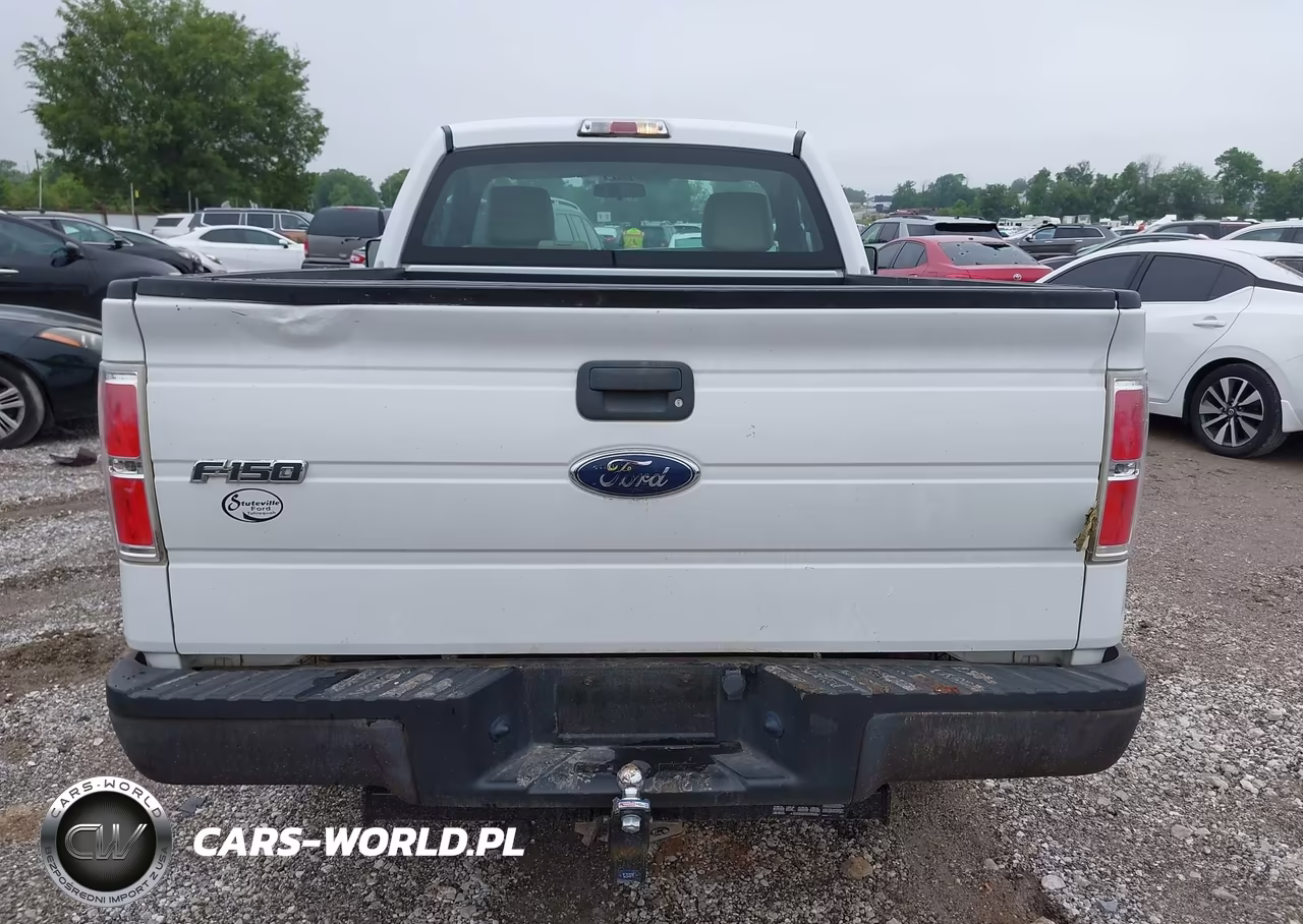2010 Ford F-150 Stx-Xl-Xlt VIN:1FTMF1CW6AKE21944 - 16