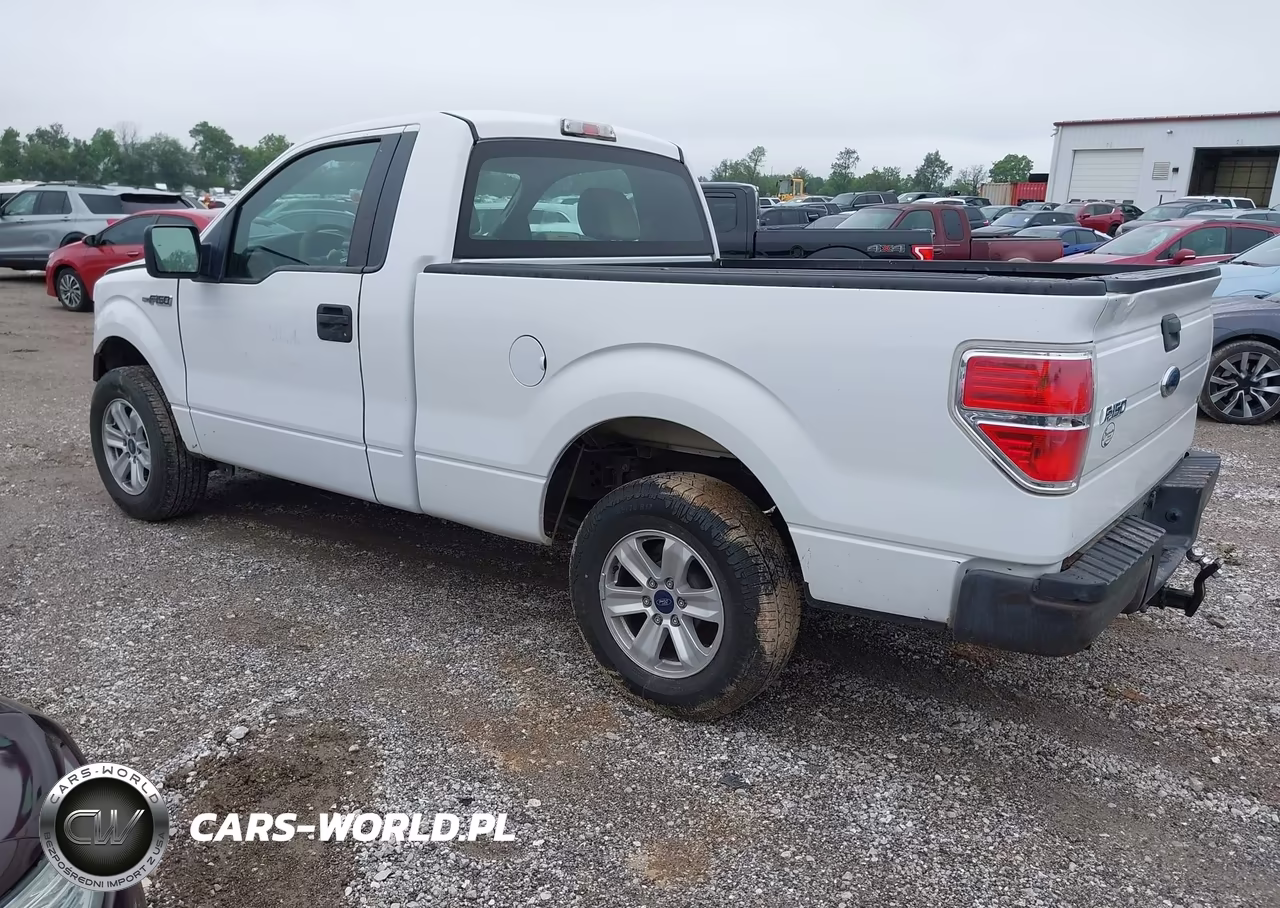 2010 Ford F-150 Stx-Xl-Xlt VIN:1FTMF1CW6AKE21944 - 3