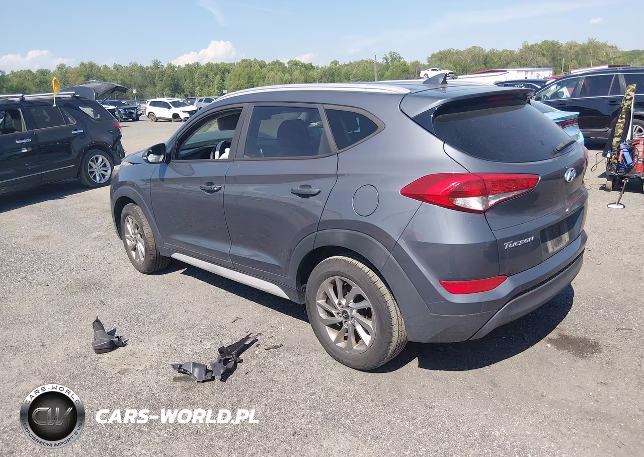 2017 Hyundai Tucson Se Plus VIN:KM8J3CA47HU452980 - 3