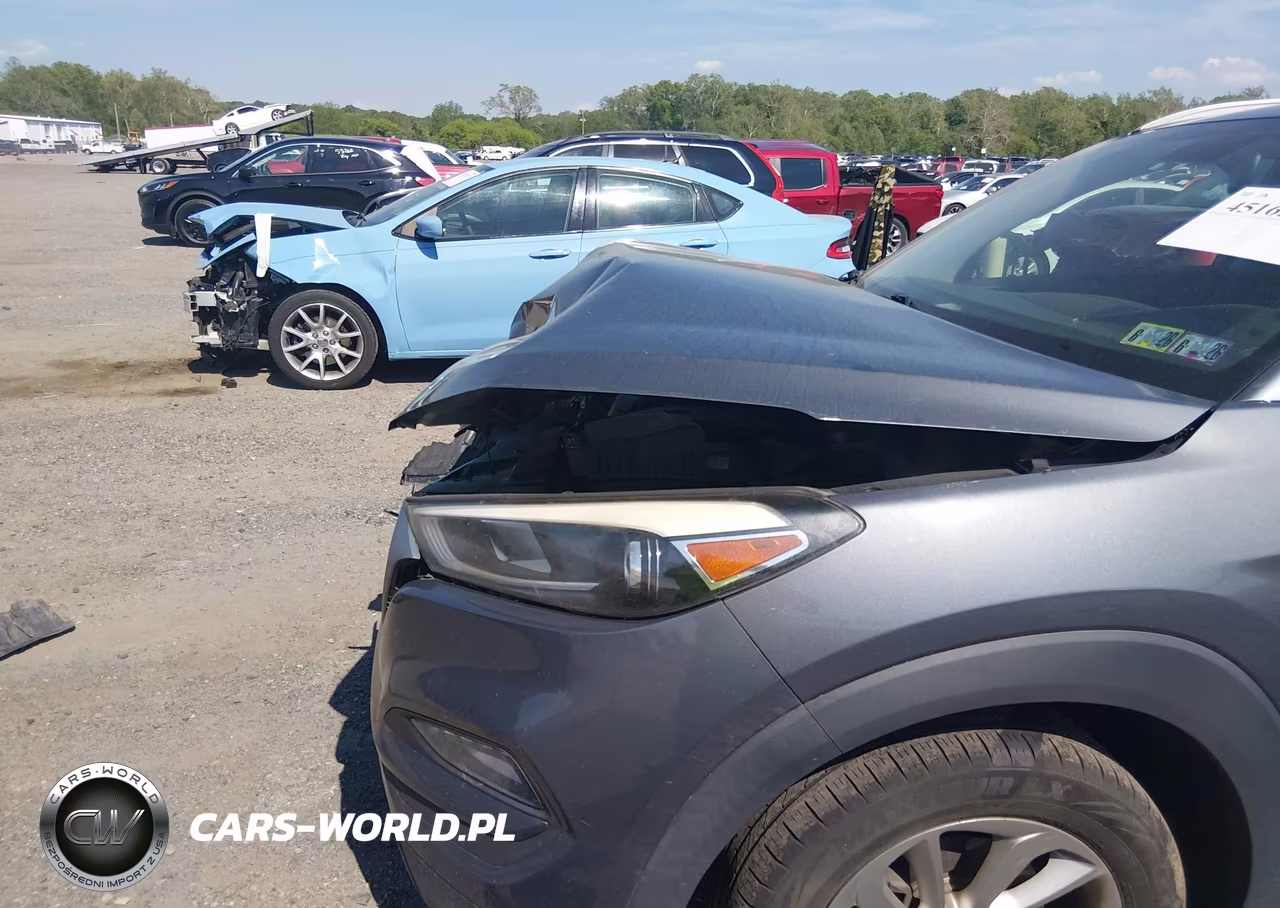 2017 Hyundai Tucson Se Plus VIN:KM8J3CA47HU452980 - 6