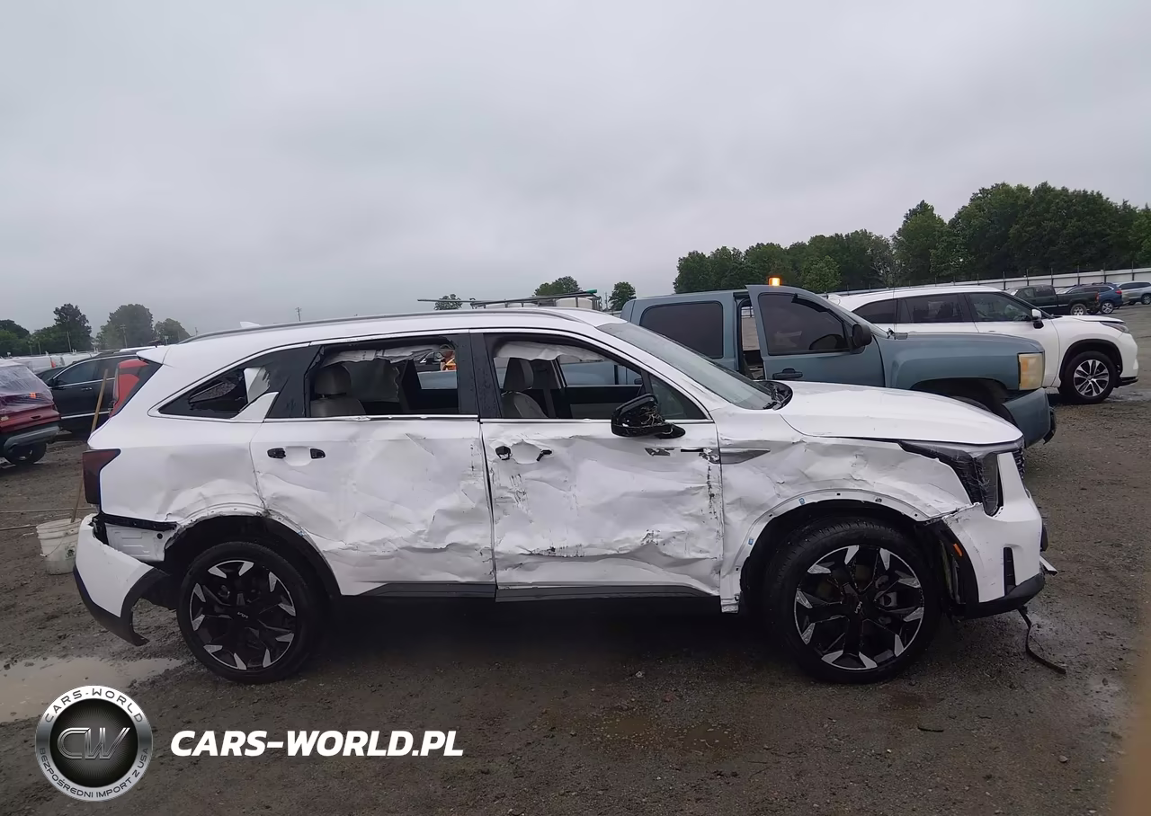 2025 Kia Sorento Ex VIN:5XYRHDJF3SG381933 - 13