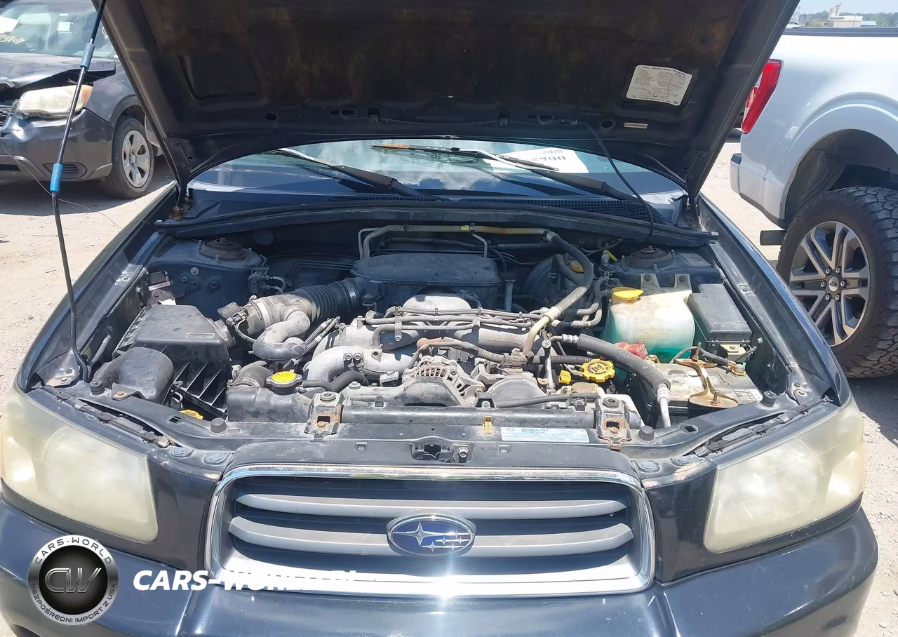 2005 Subaru Forester 2.5Xs VIN:JF1SG65665H704884 - 10