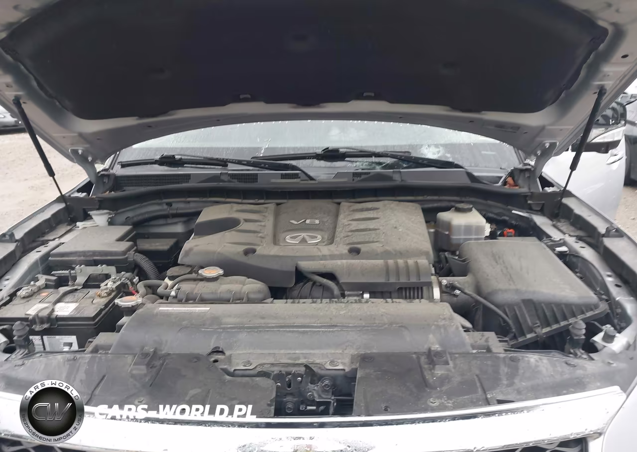 2017 Infiniti Qx80 VIN:JN8AZ2NE2H9156756 - 10