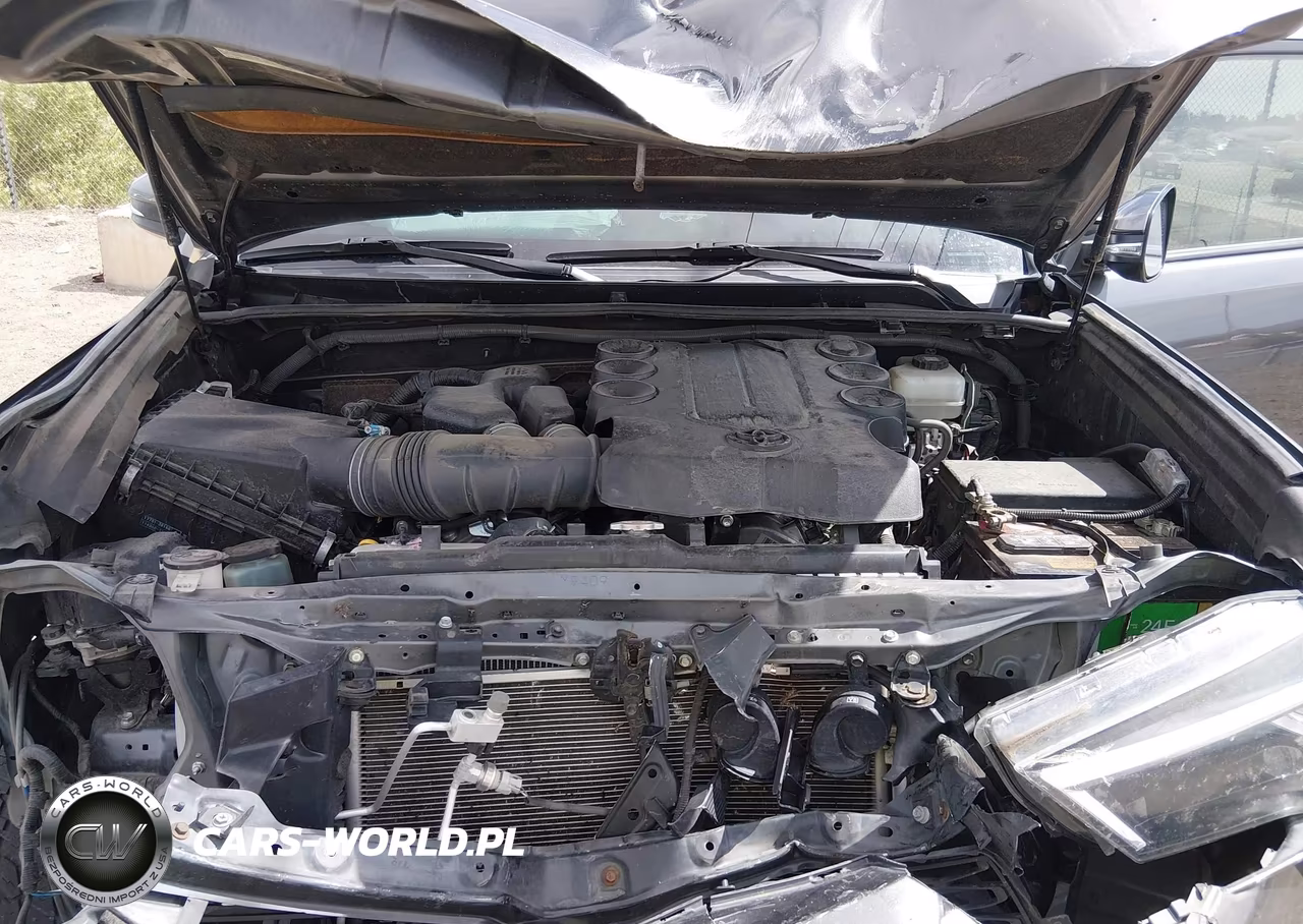 2019 Toyota 4Runner Trd Off Road Premium VIN:JTEBU5JR2K5665328 - 10