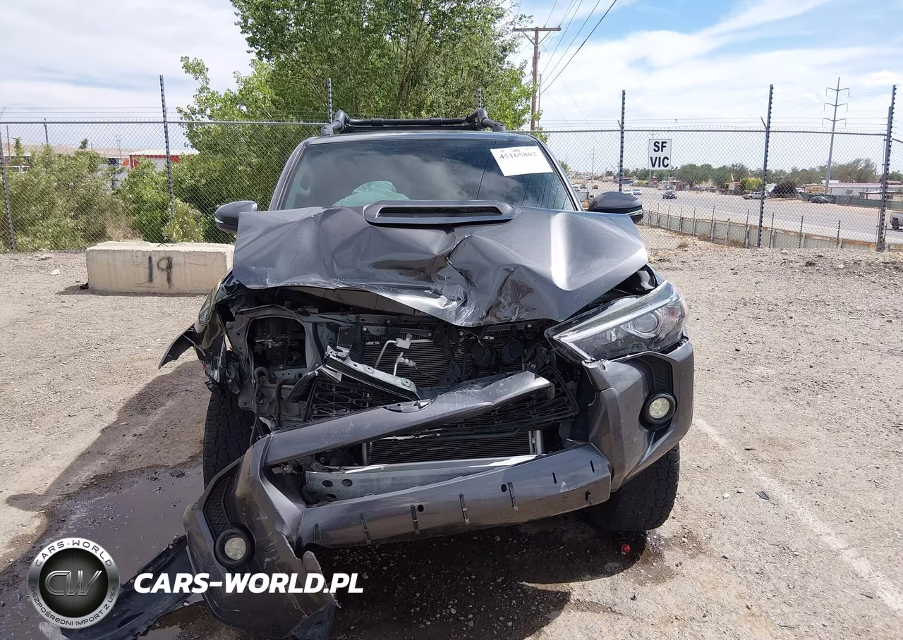 2019 Toyota 4Runner Trd Off Road Premium VIN:JTEBU5JR2K5665328 - 12
